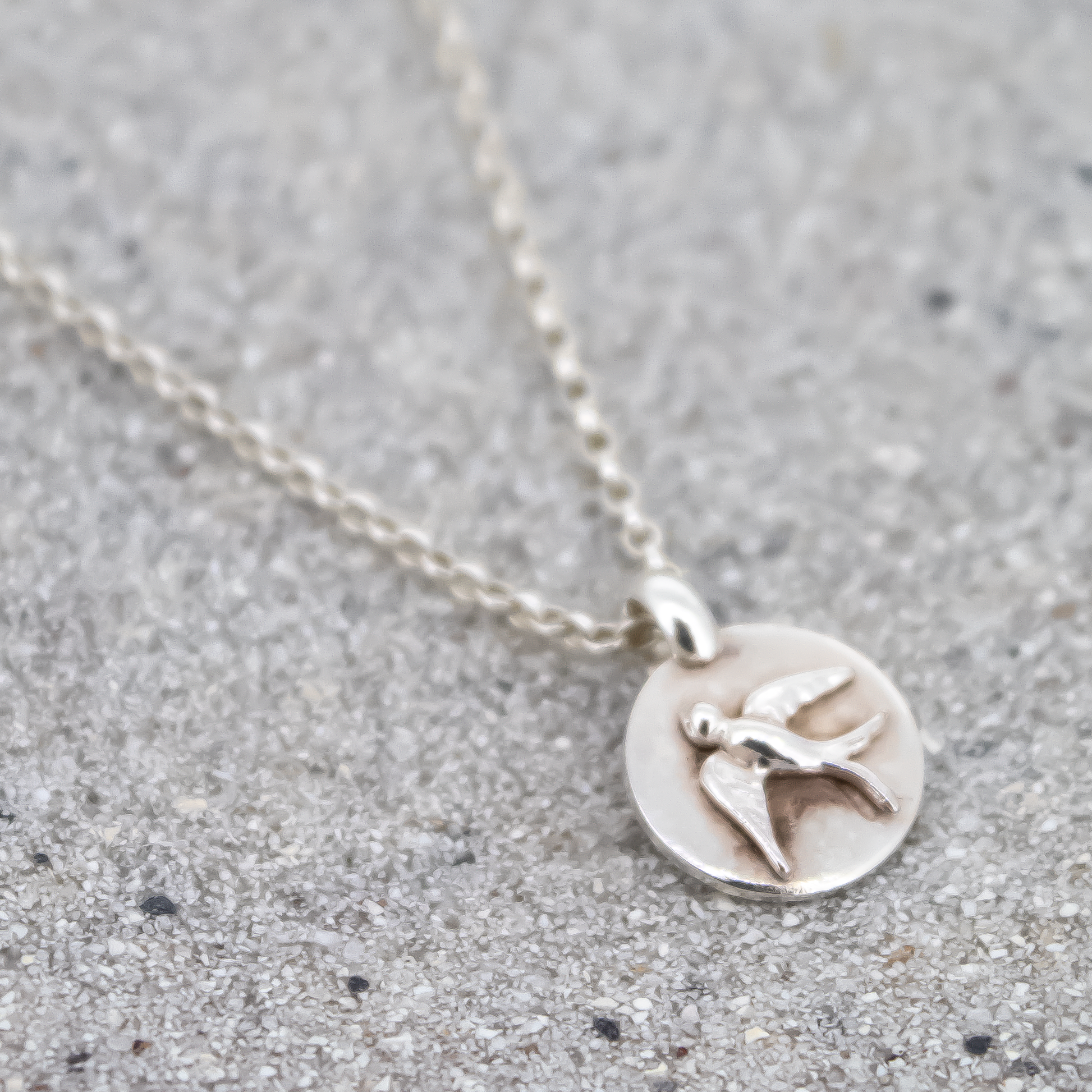 Sterling Silver Swallow Disc Necklace