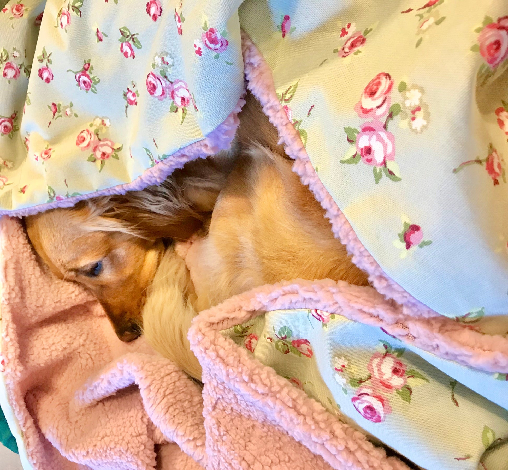Luxury Handcrafted Dog Blanket in Floral
