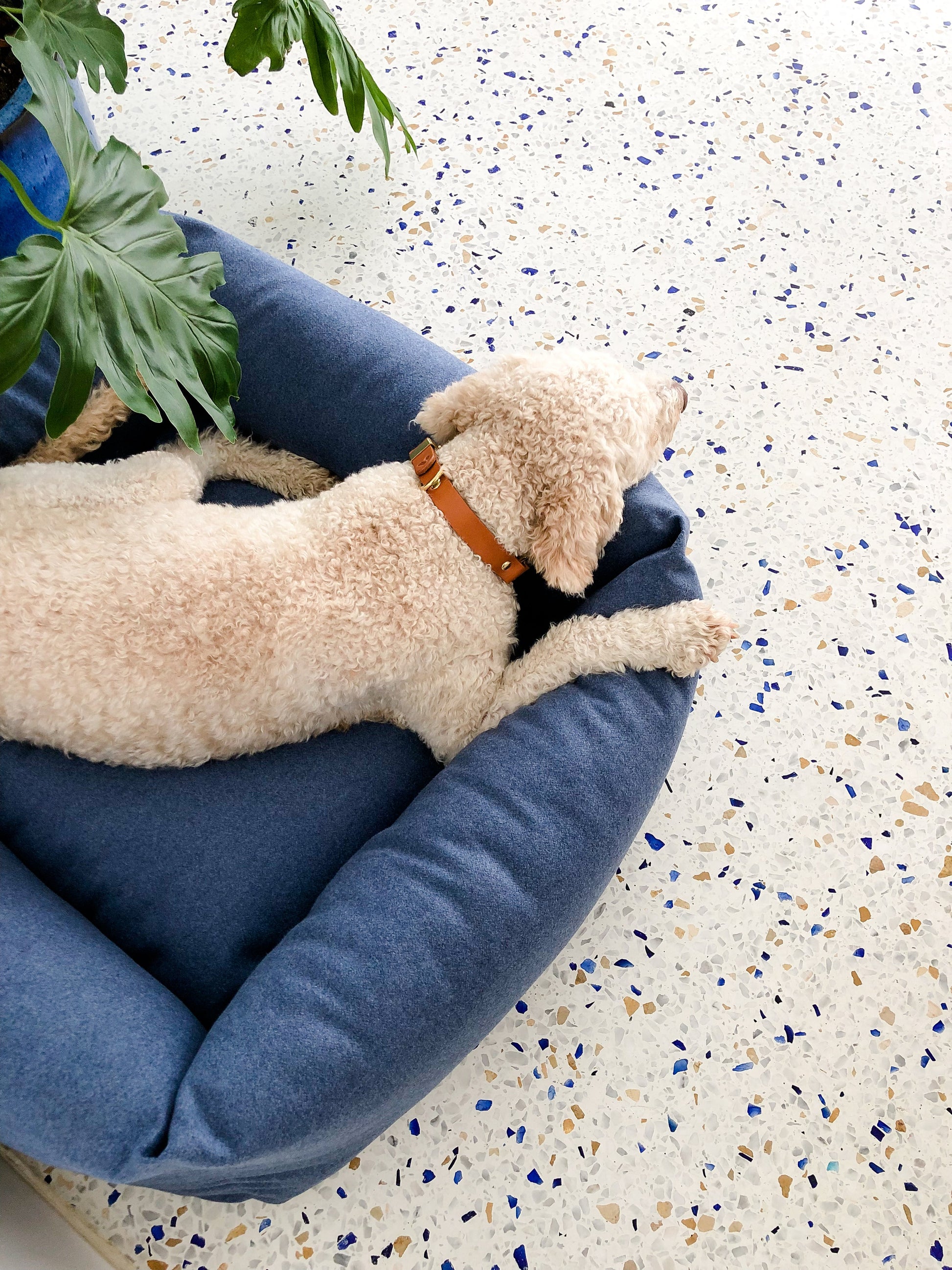 Fort Bolster Bed for Dogs