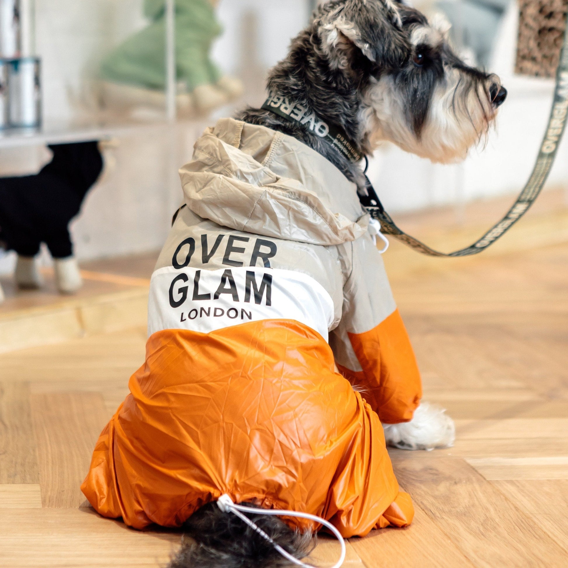 Contrast Thin Coat for Dogs