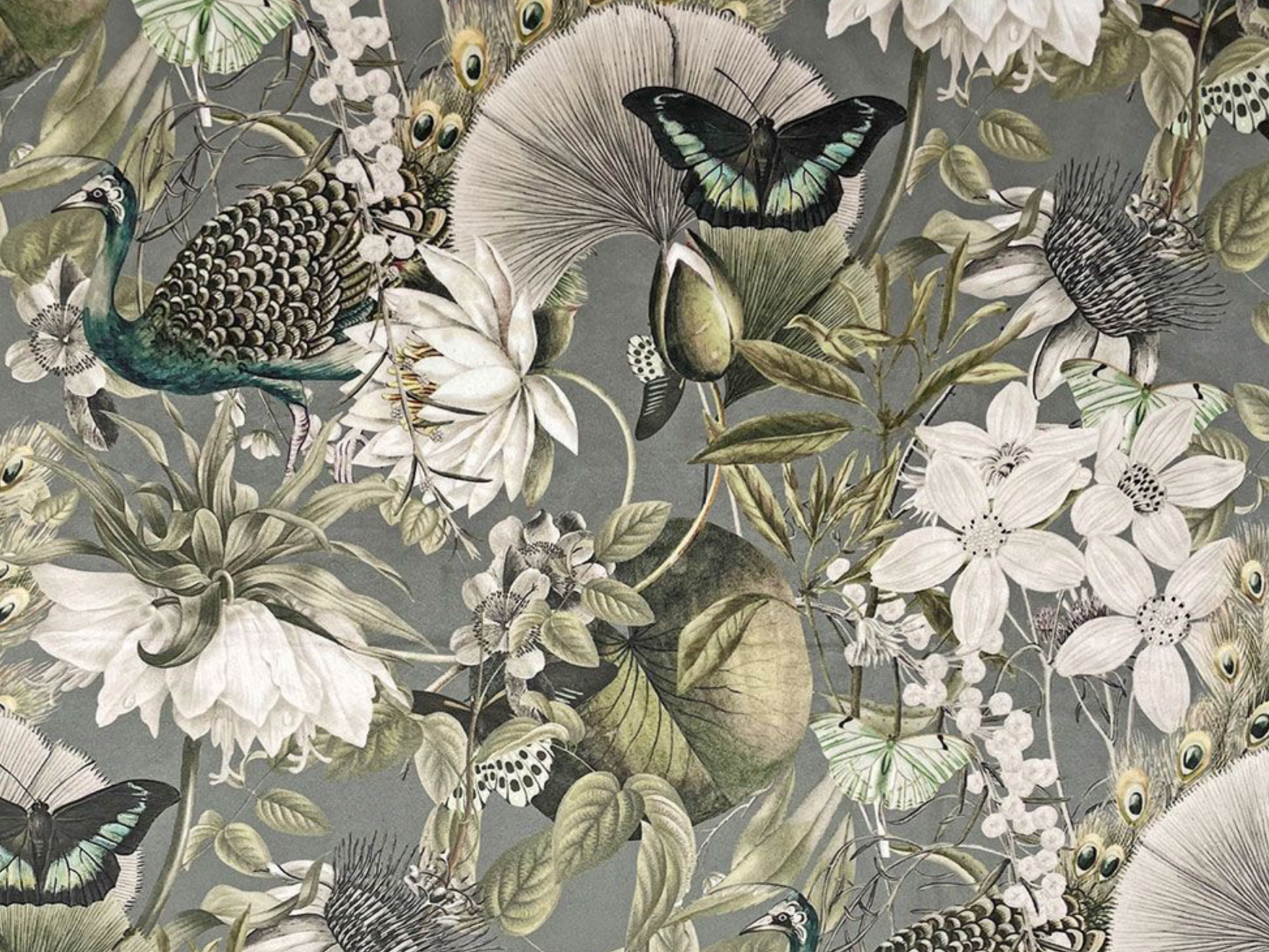 Peacock butterfly velvet in grey, drum lampshade/ ceiling shade, with a white lining