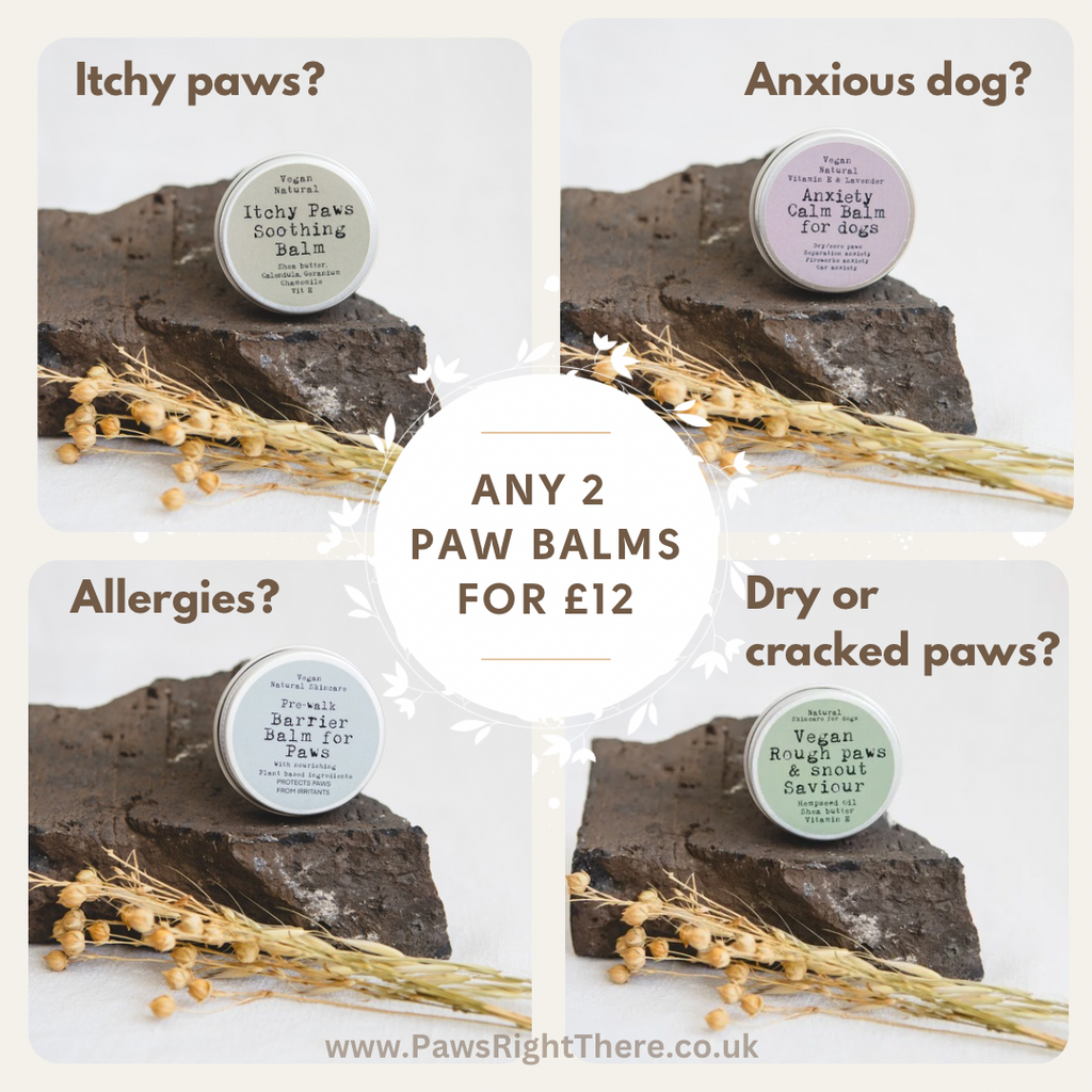 Itchy Paw Balm Soothing Relief for Dogs