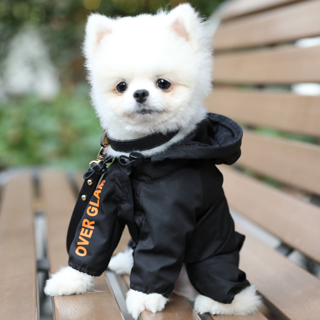 Black Waterproof Thin Coat