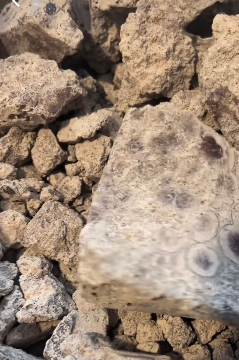 Mexican Ceremonial Cacao Lavado Block