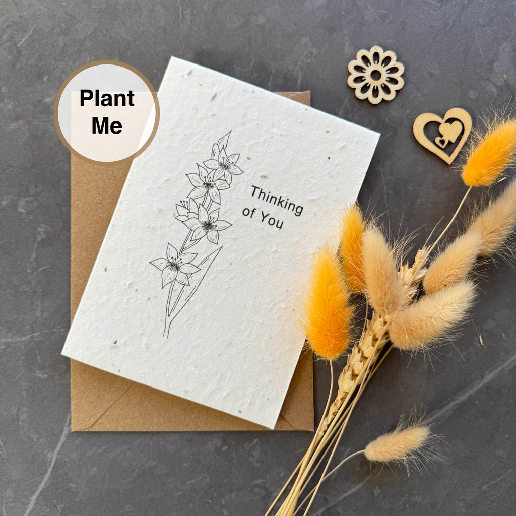 Plantable Sympathy Card with Wildflower Seeds
