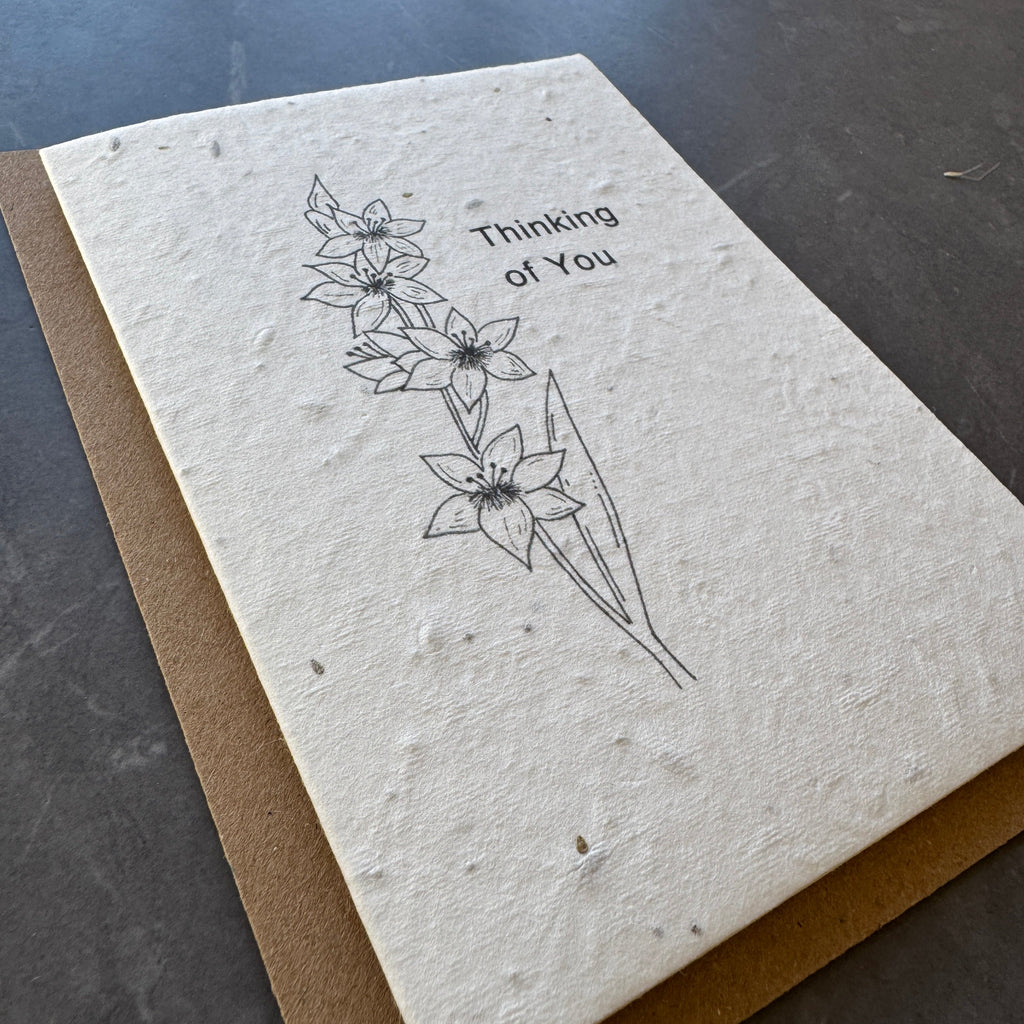 Plantable Sympathy Card with Wildflower Seeds