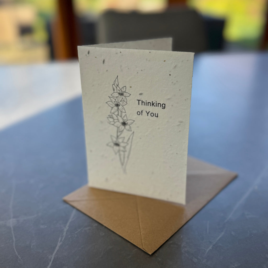 Plantable Sympathy Card with Wildflower Seeds