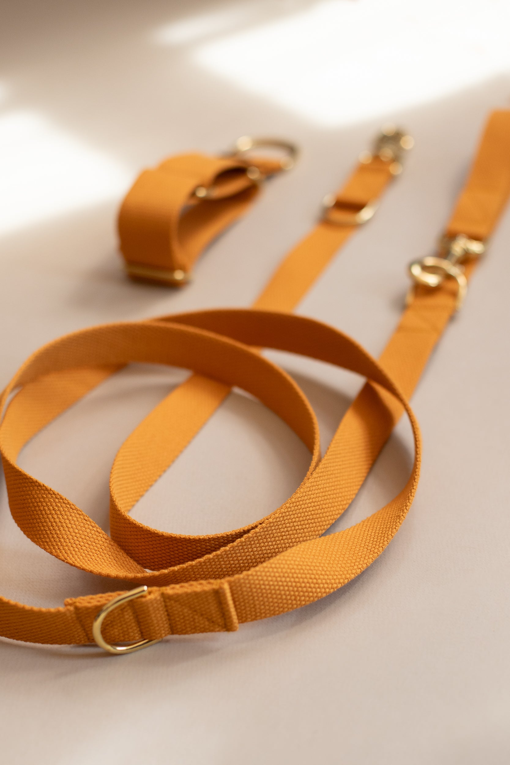 Long Cotton Multi Lead Adjustable Dog Lead