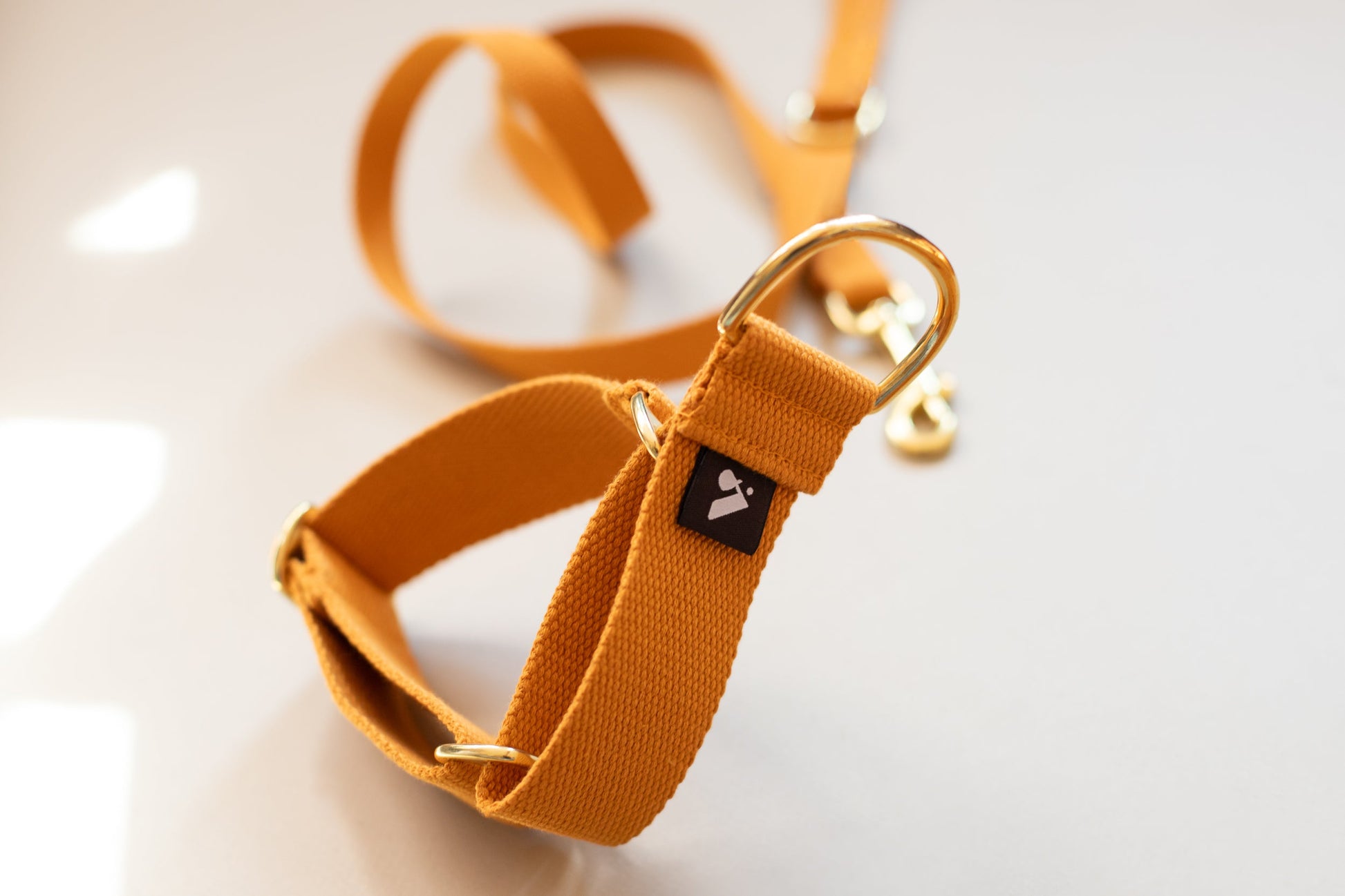 Cotton Martingale Collar for Dogs