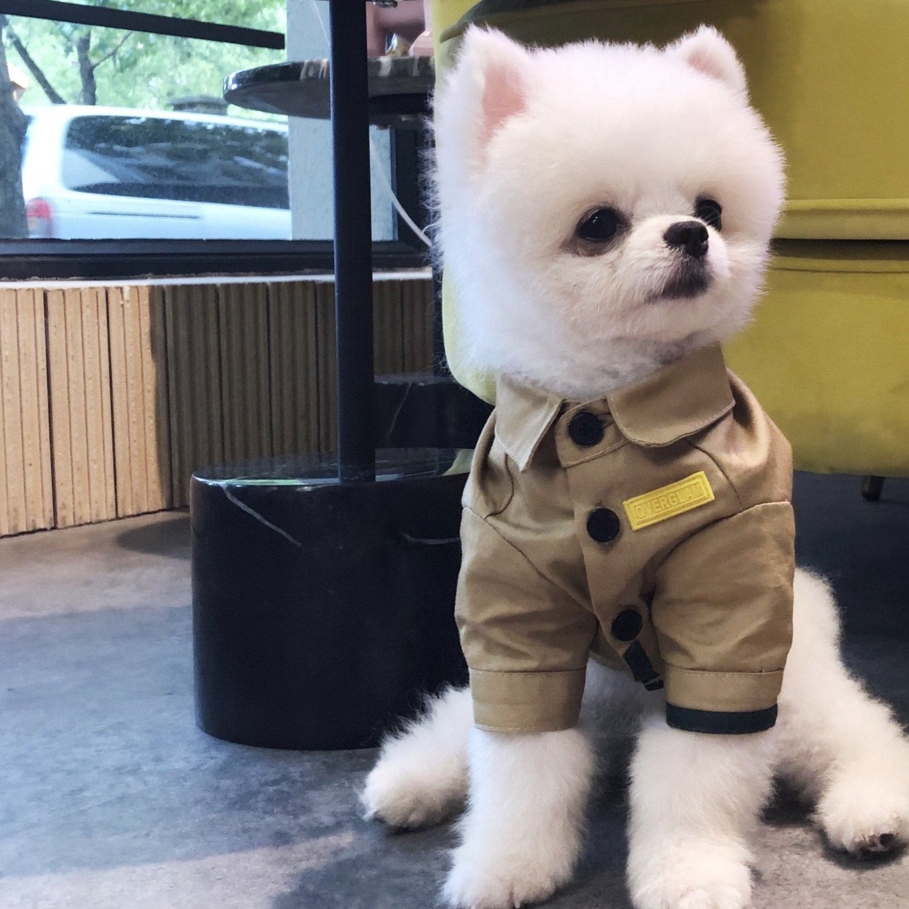 Contrast Shirt in Apricot