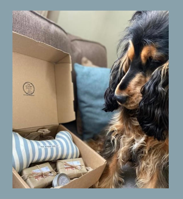 Dog Grooming and Pampering Gift Set with Fabric Choice Toy Bone