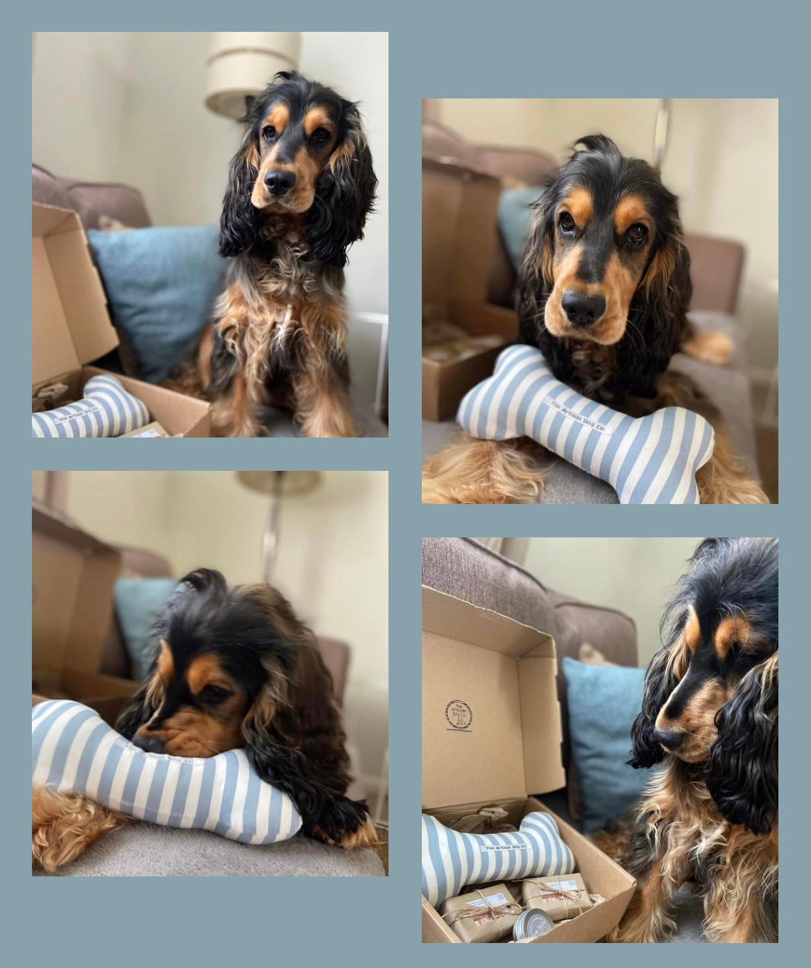 Dog Grooming and Pampering Gift Set with Fabric Choice Toy Bone