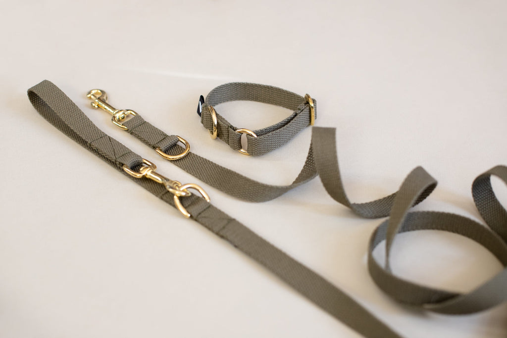 Soft Cotton Dog Collar