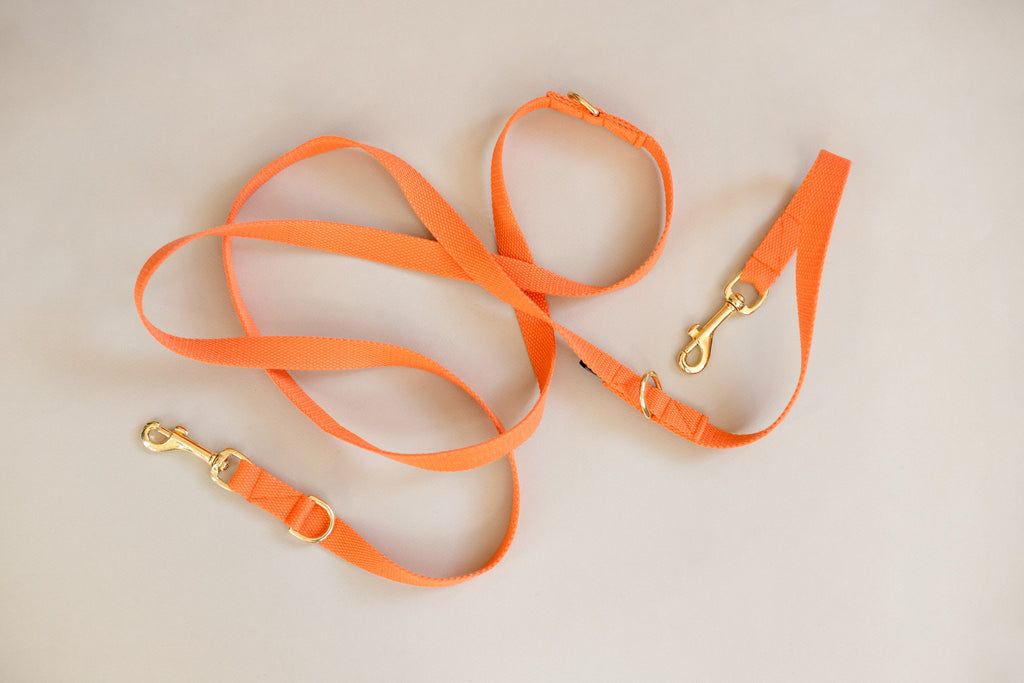 Long Cotton Multi Lead Adjustable Dog Lead
