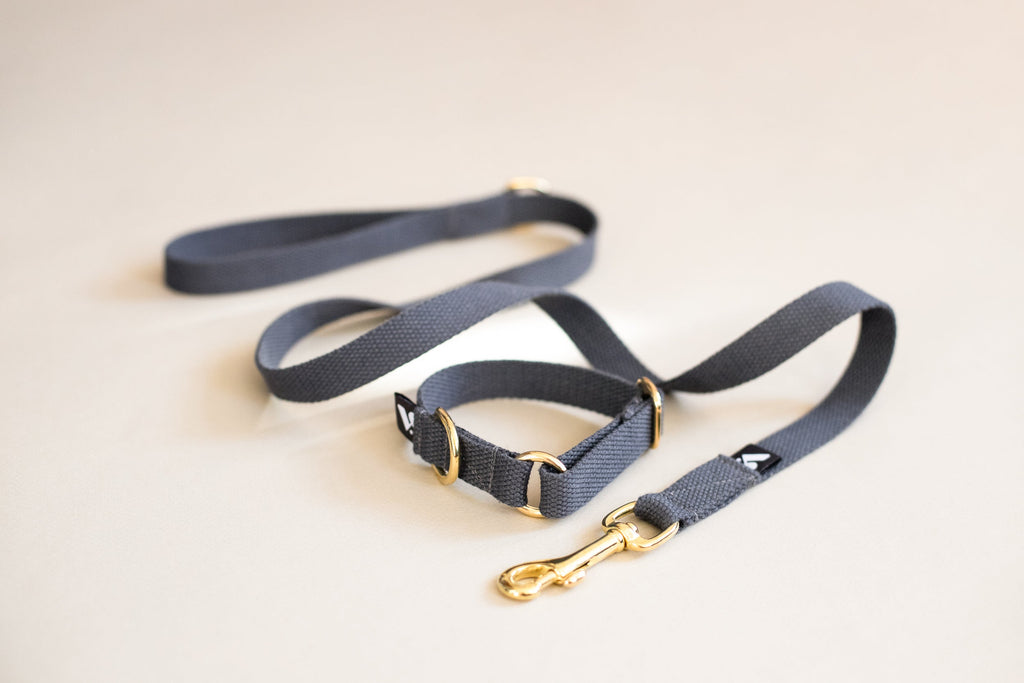 Soft Cotton Dog Collar