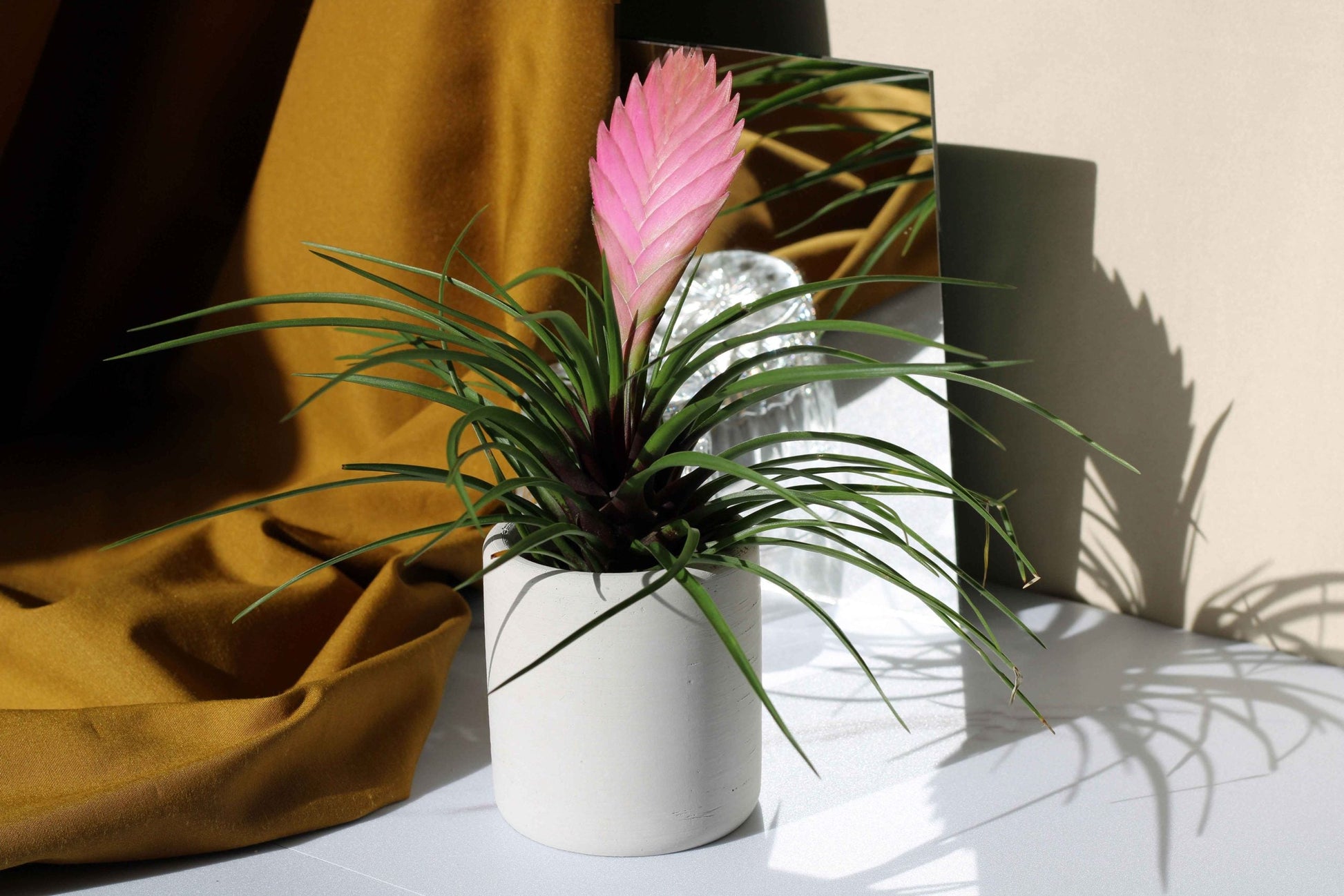 Handmade Concrete Toothbrush Holder