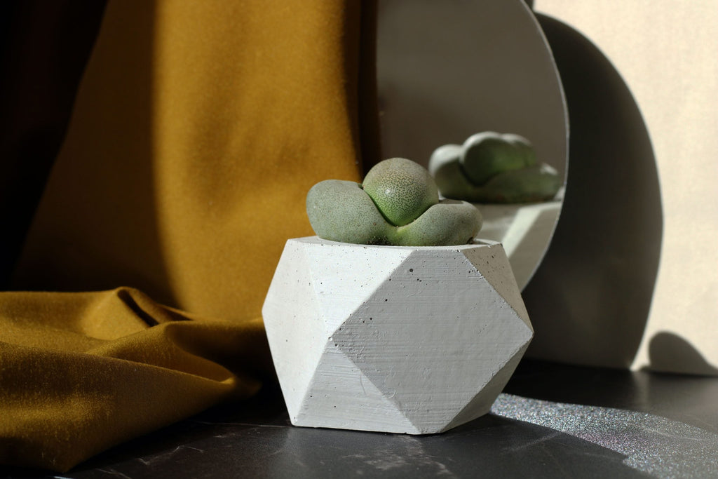 Concrete Polygonal Pot White Geometric Planter