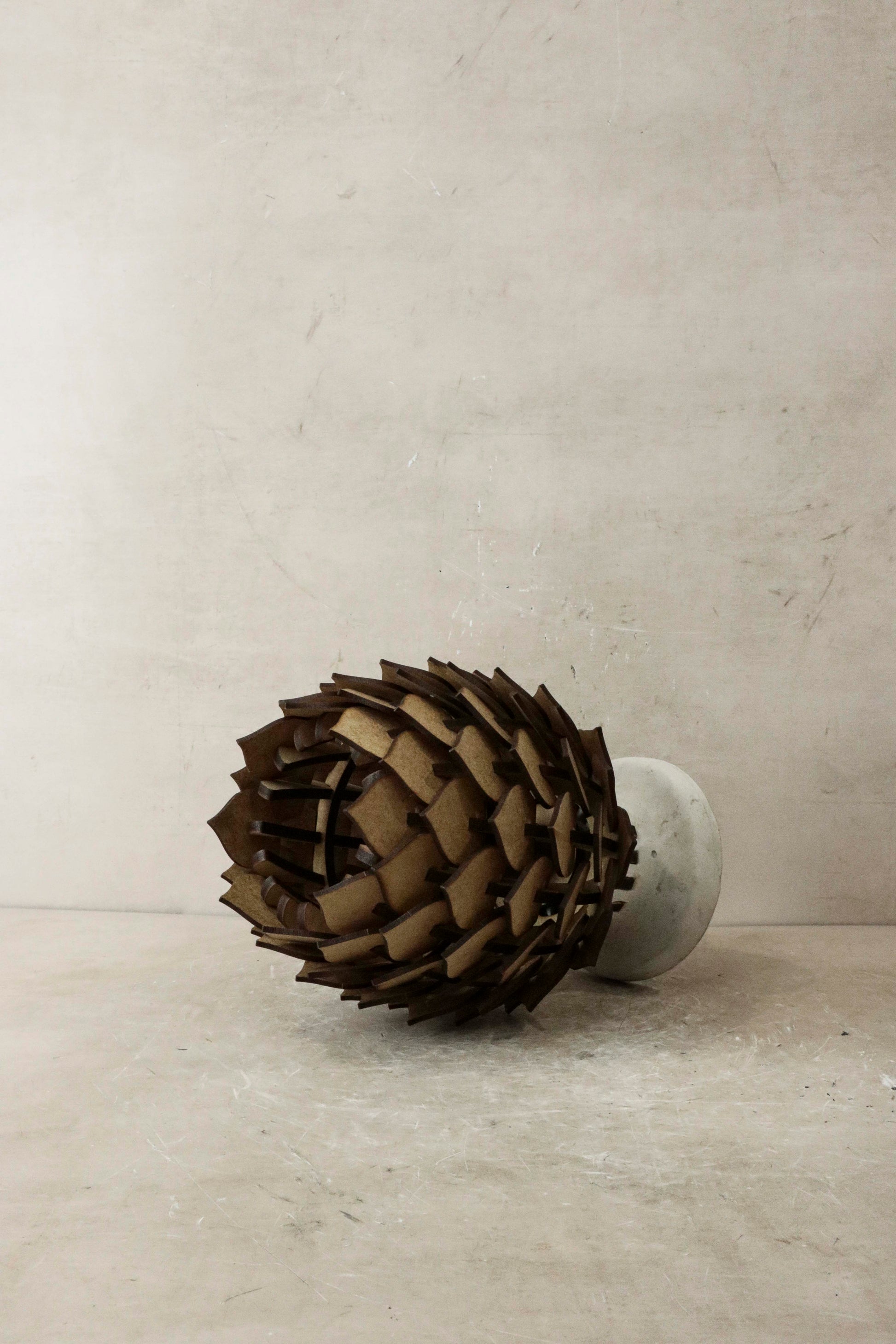 Protea Table Lamp Small Natural Wood and Concrete