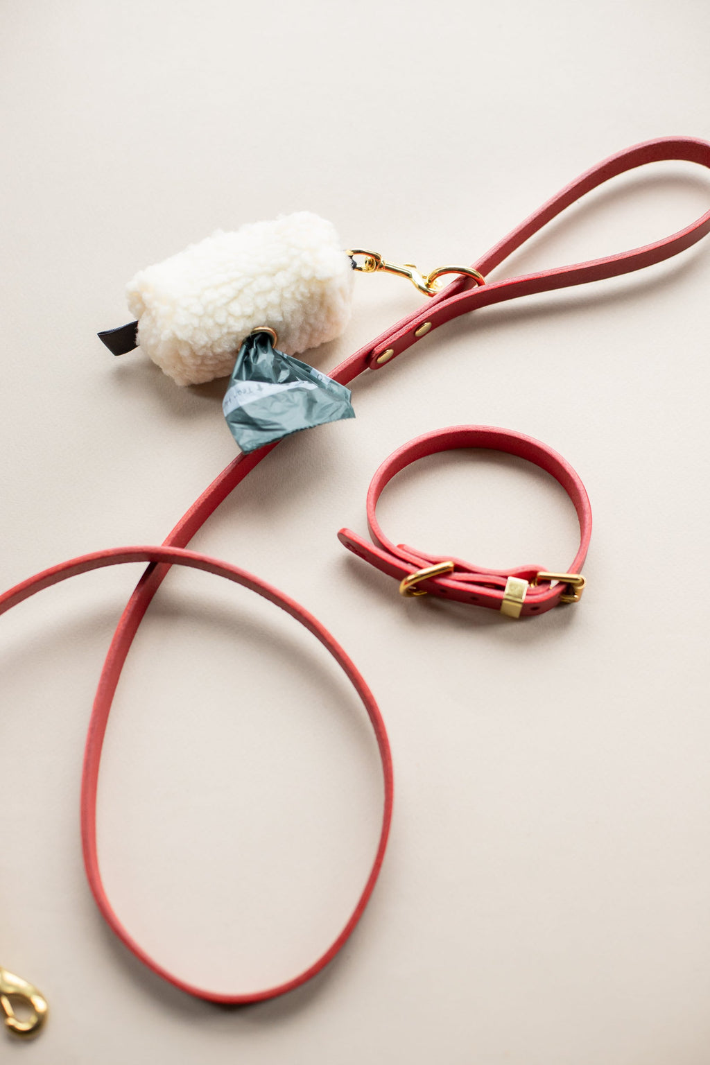 Waste Bag and Treat Holder