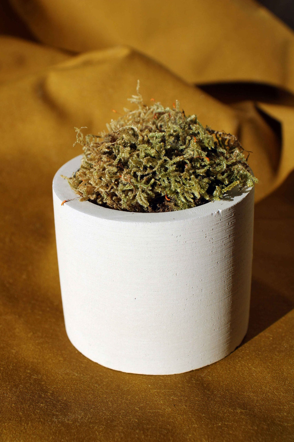 Concrete Cylinder Tealight Holder