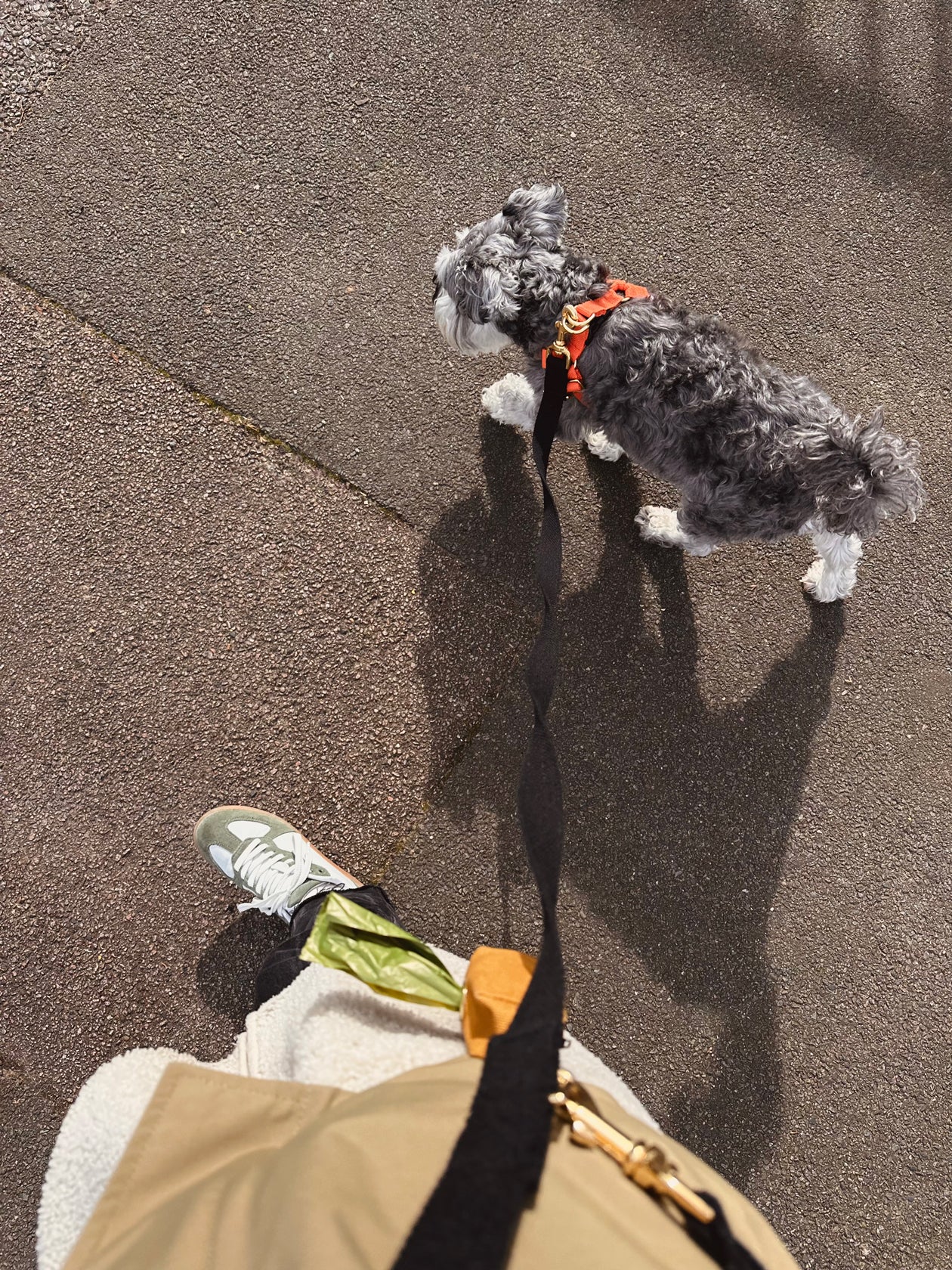 Cotton Step In Dog Harness