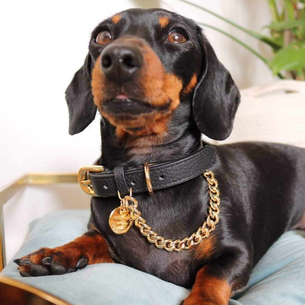 Black Leather Collar with Gold Chain