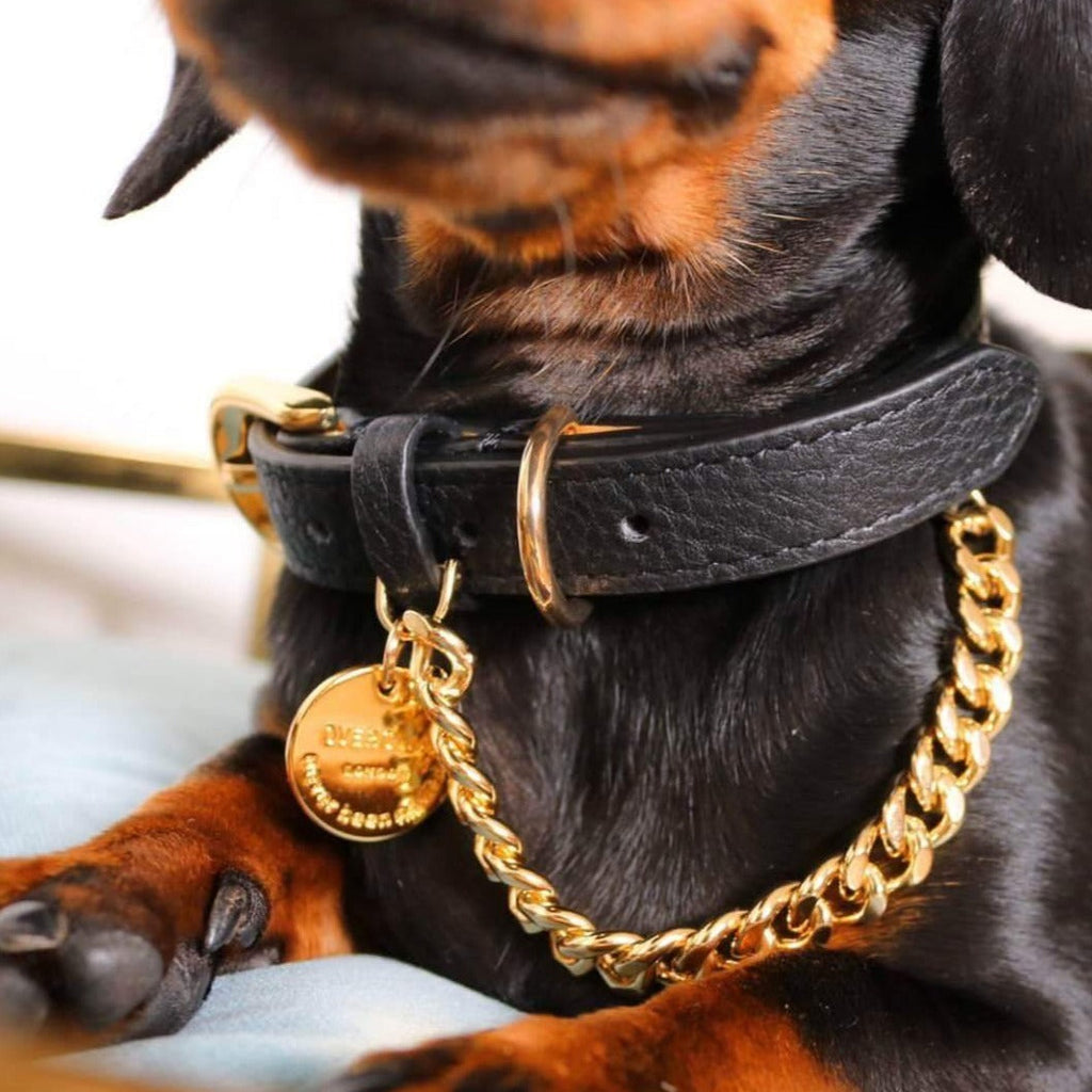 Black Leather Collar with Gold Chain