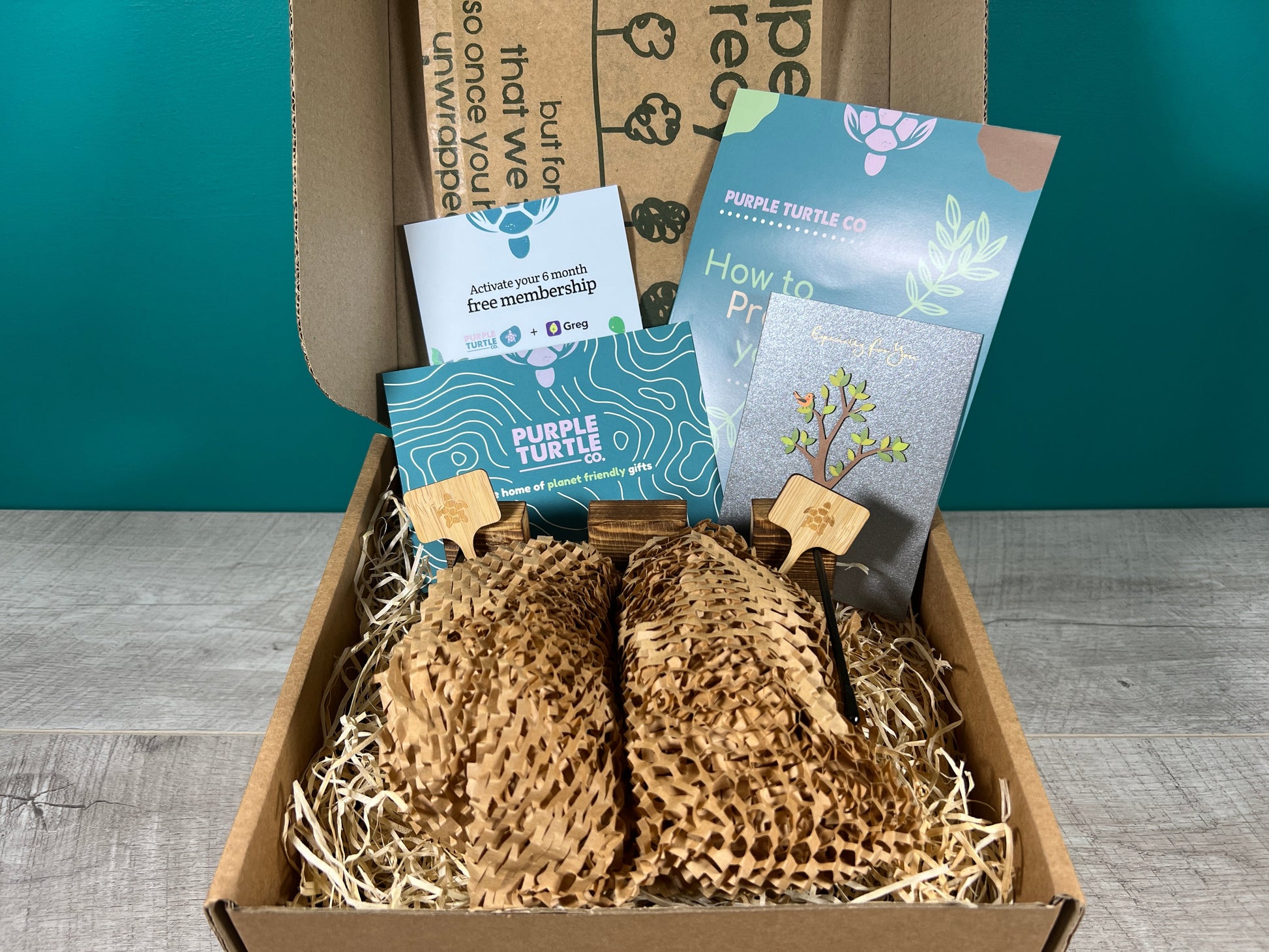 Plant Propagation Gift Set for Growing Cuttings at Home