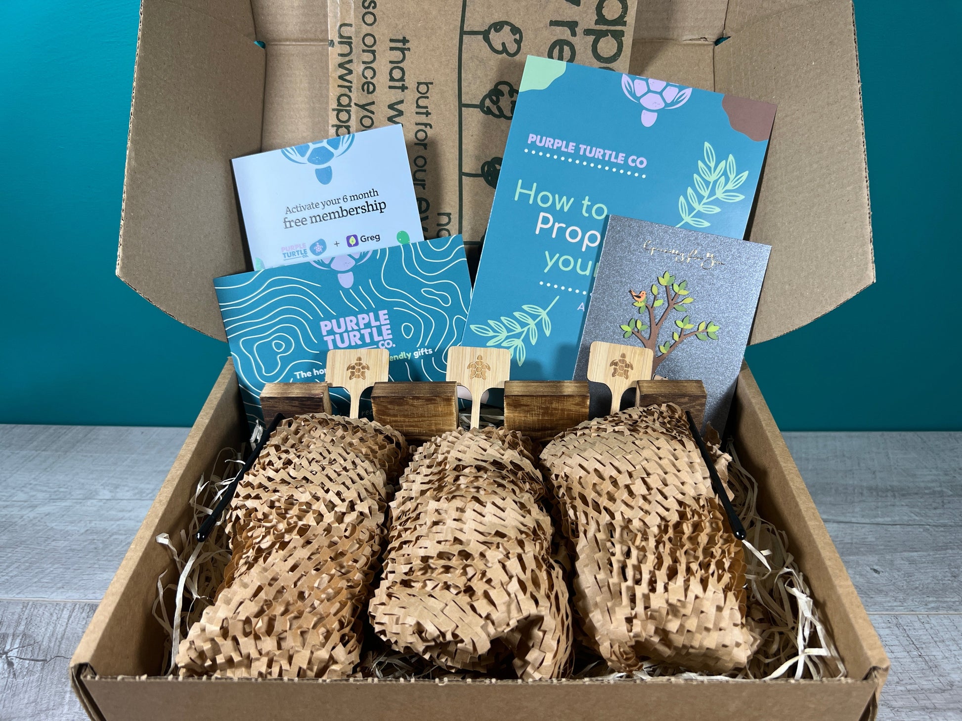Plant Propagation Gift Set for Growing Cuttings at Home