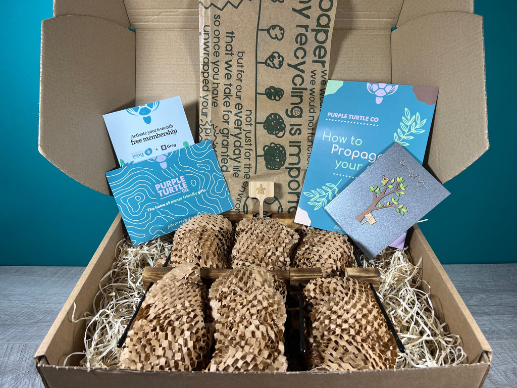 Plant Propagation Gift Set for Growing Cuttings at Home