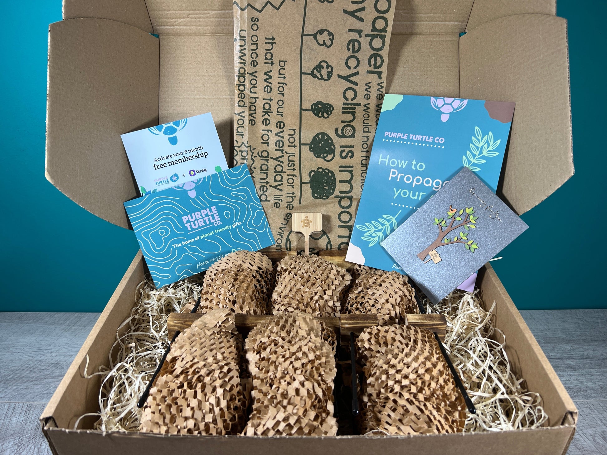 Plant Propagation Gift Set for Growing Cuttings at Home