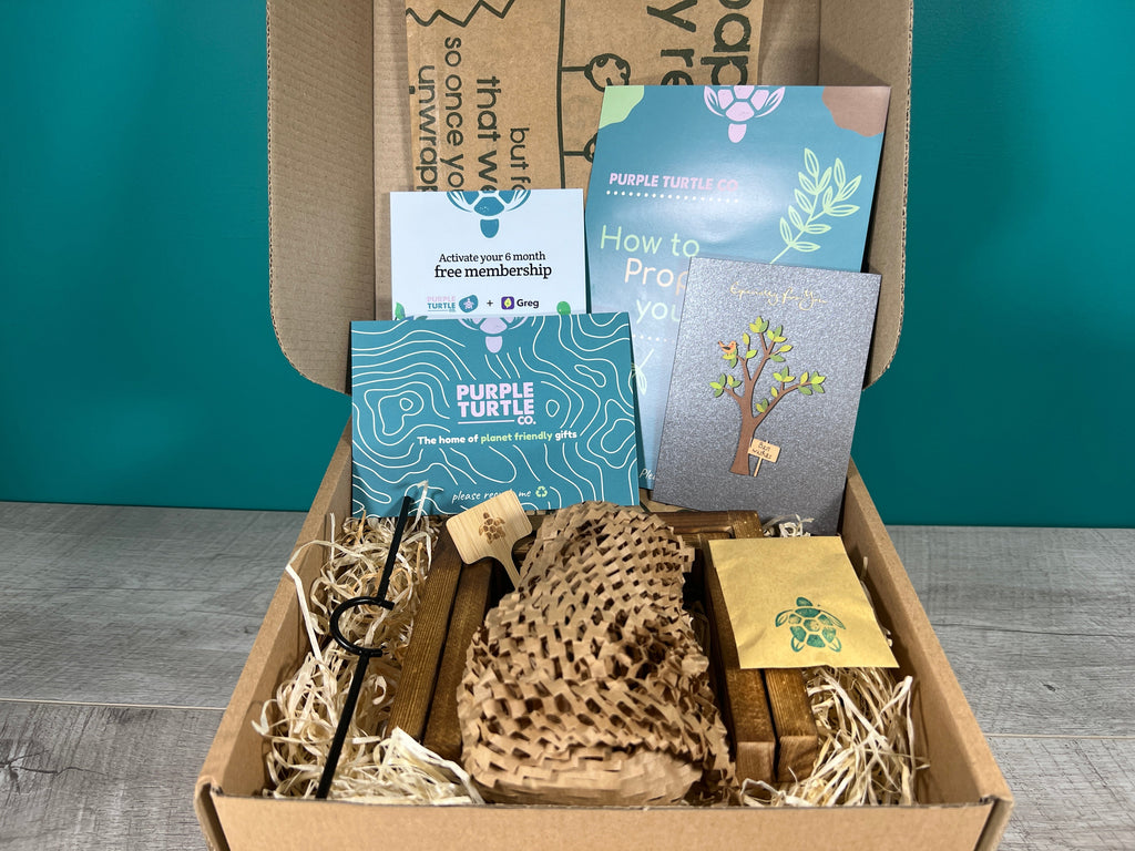 Plant Propagation Gift Set for Home Growing