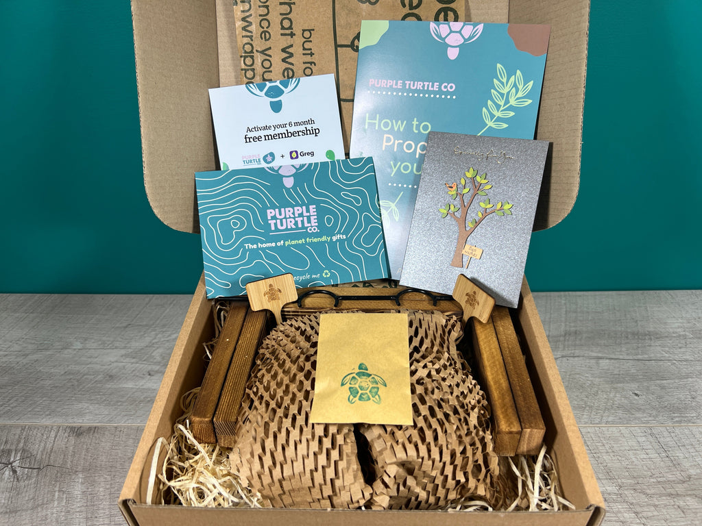 Plant Propagation Gift Set for Home Growing