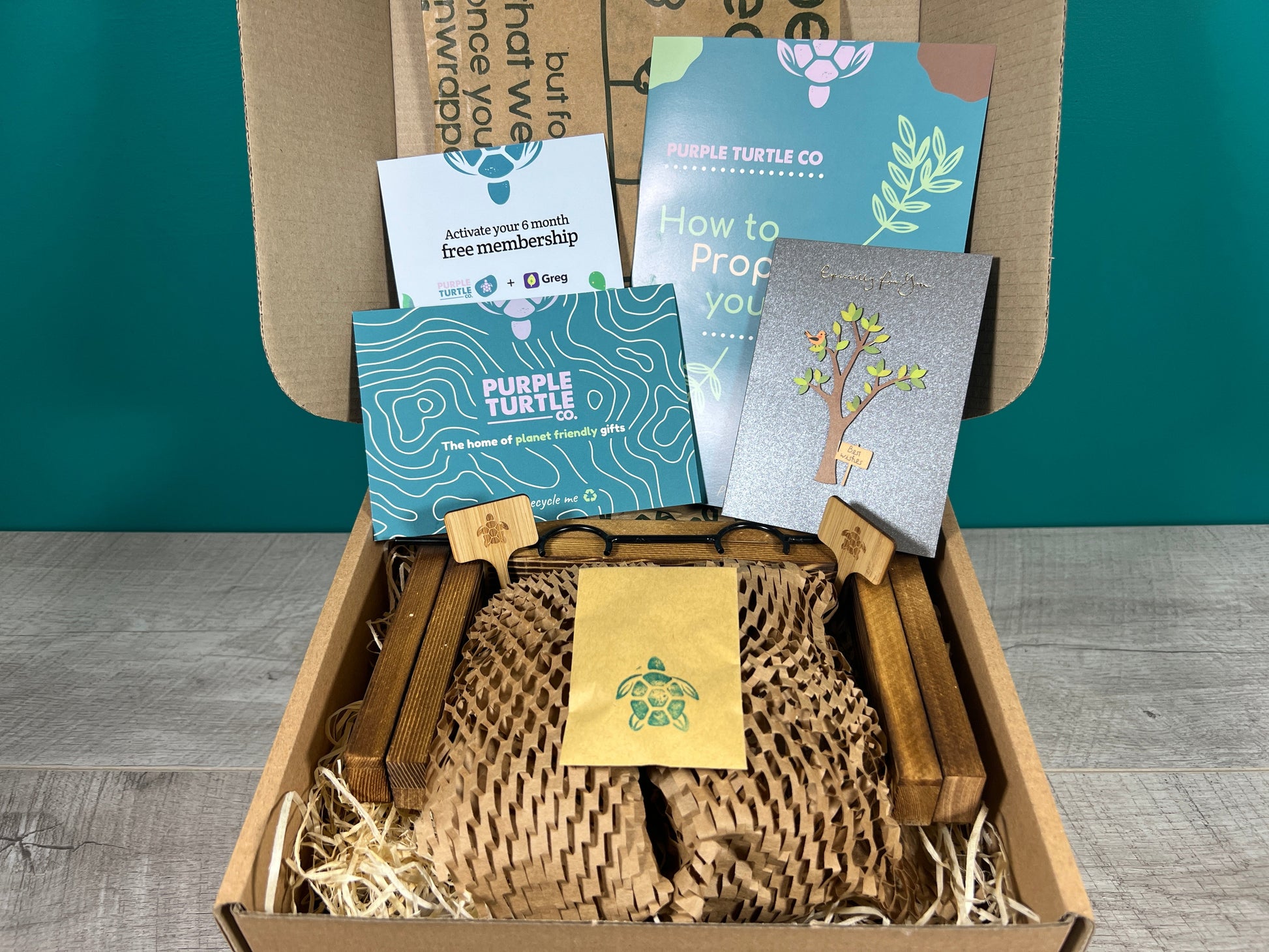Plant Propagation Gift Set for Home Growing