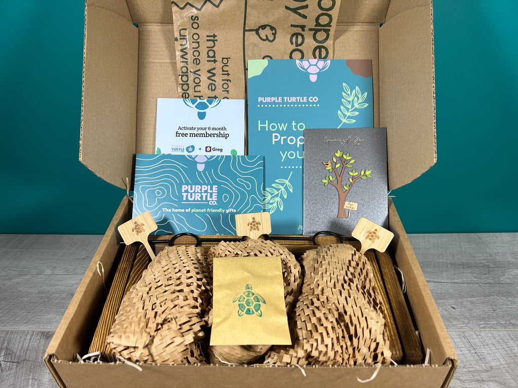 Plant Propagation Gift Set for Home Growing