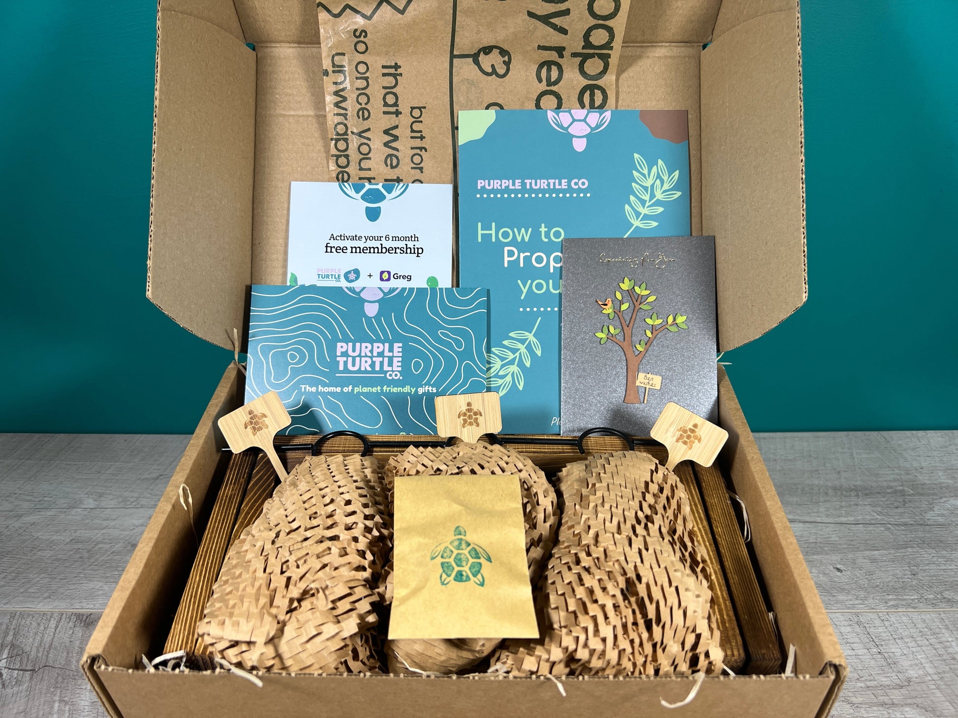 Plant Propagation Gift Set for Home Growing