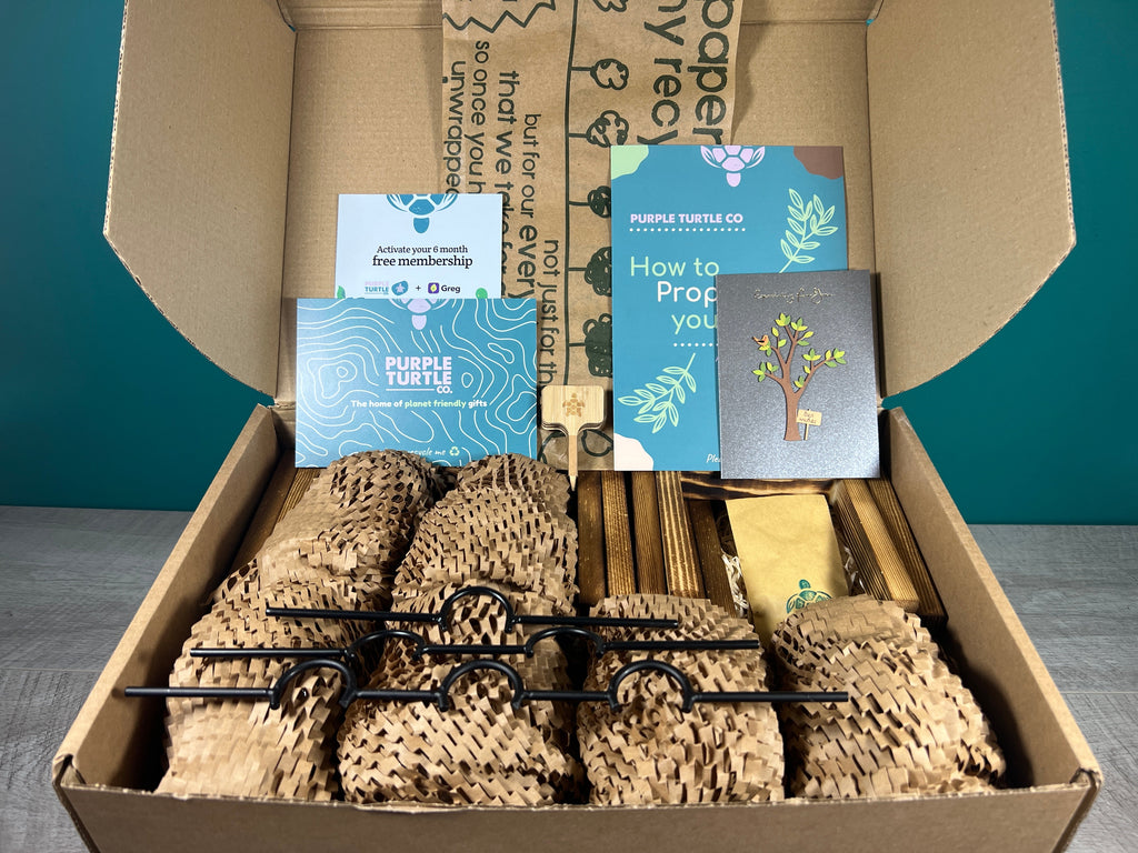 Plant Propagation Gift Set for Home Growing