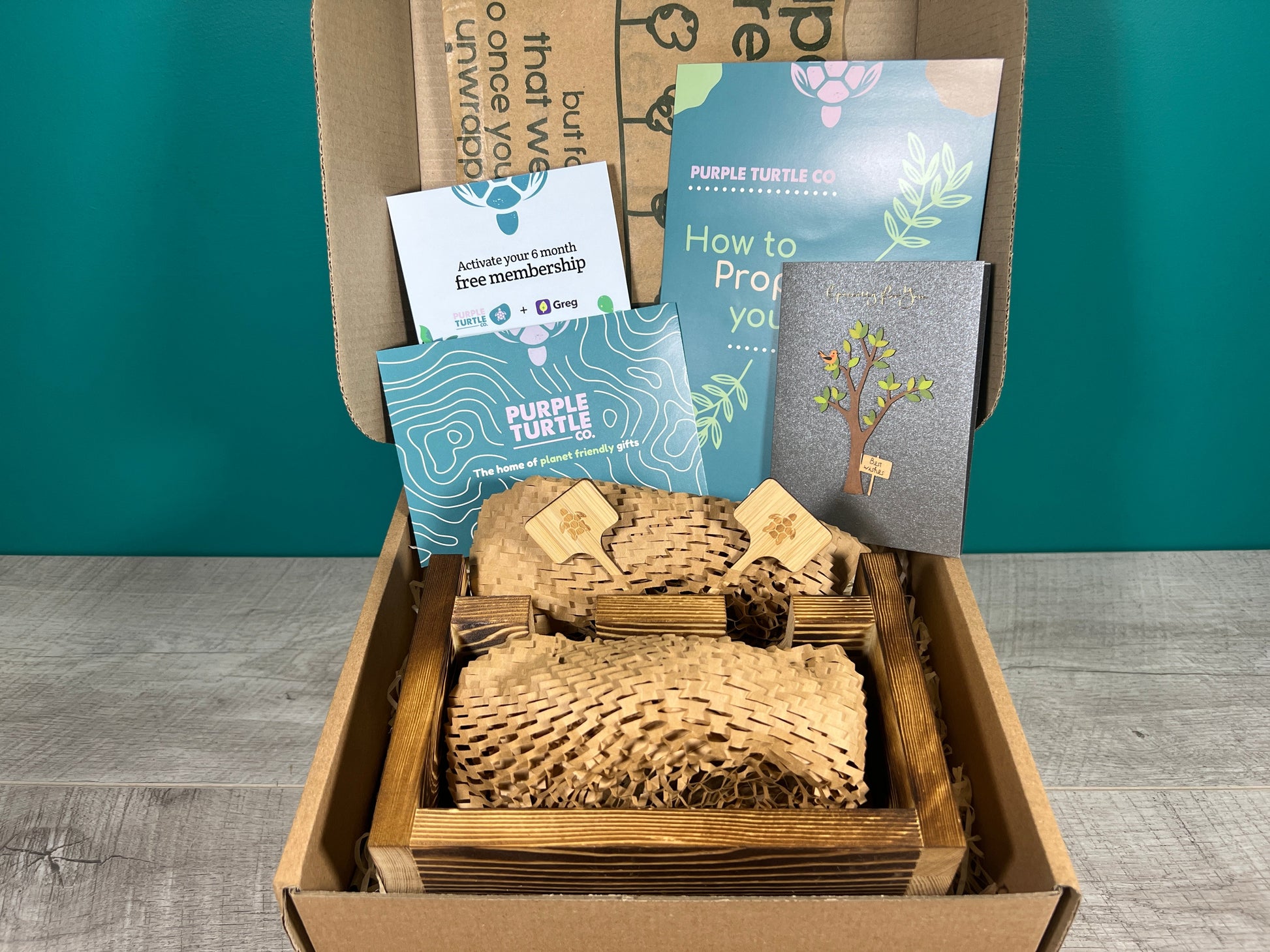 Plant Propagation Gift Set for Indoor Gardeners