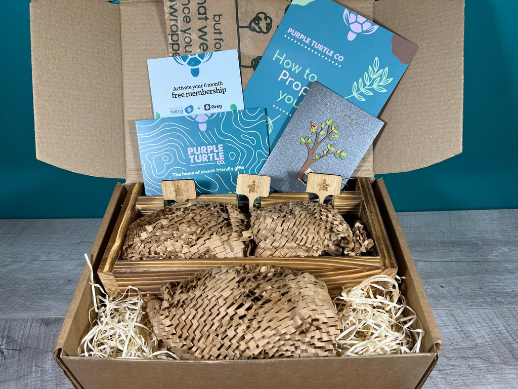 Plant Propagation Gift Set for Indoor Gardeners