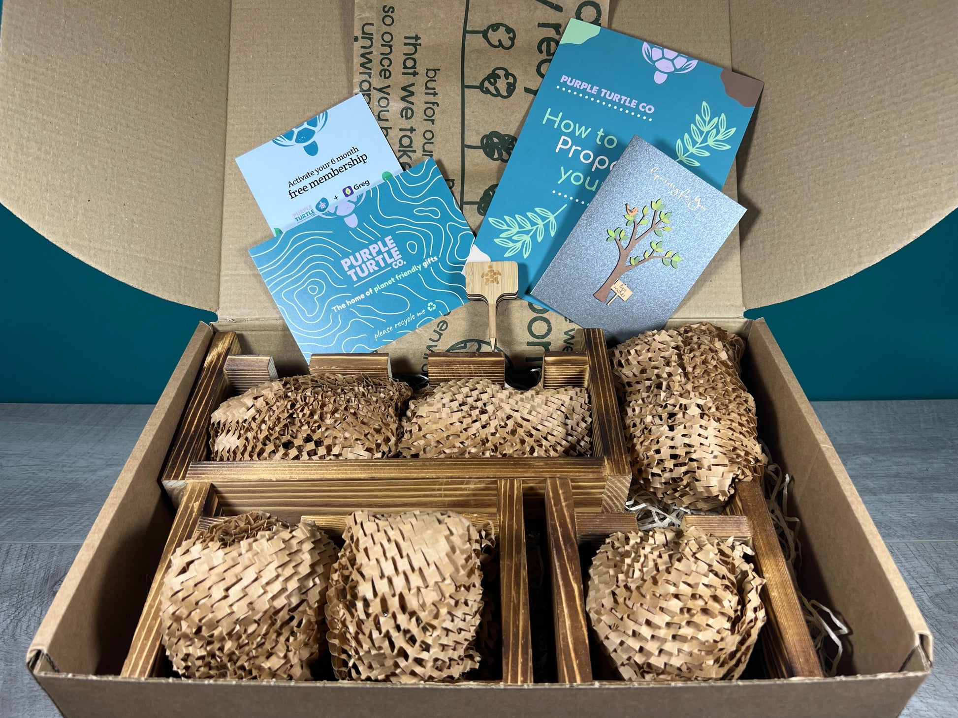 Plant Propagation Gift Set for Indoor Gardeners