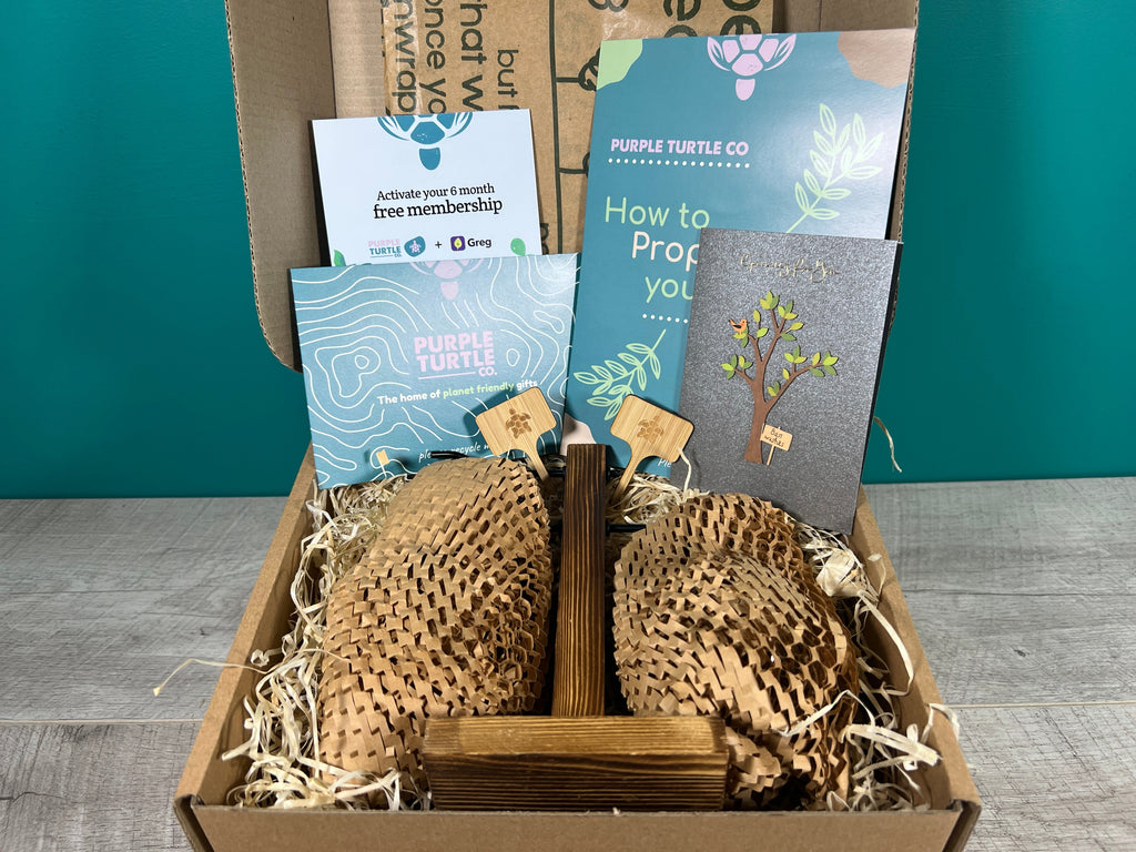 Plant Propagation Gift Set for Home Gardeners