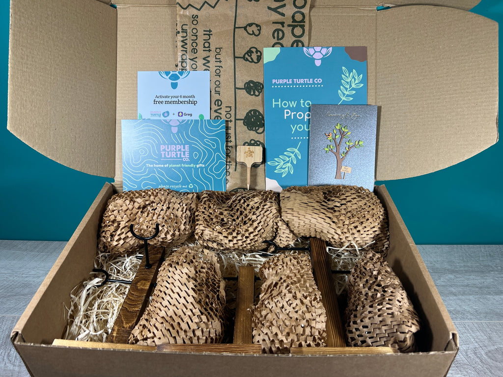 Plant Propagation Gift Set for Home Gardeners