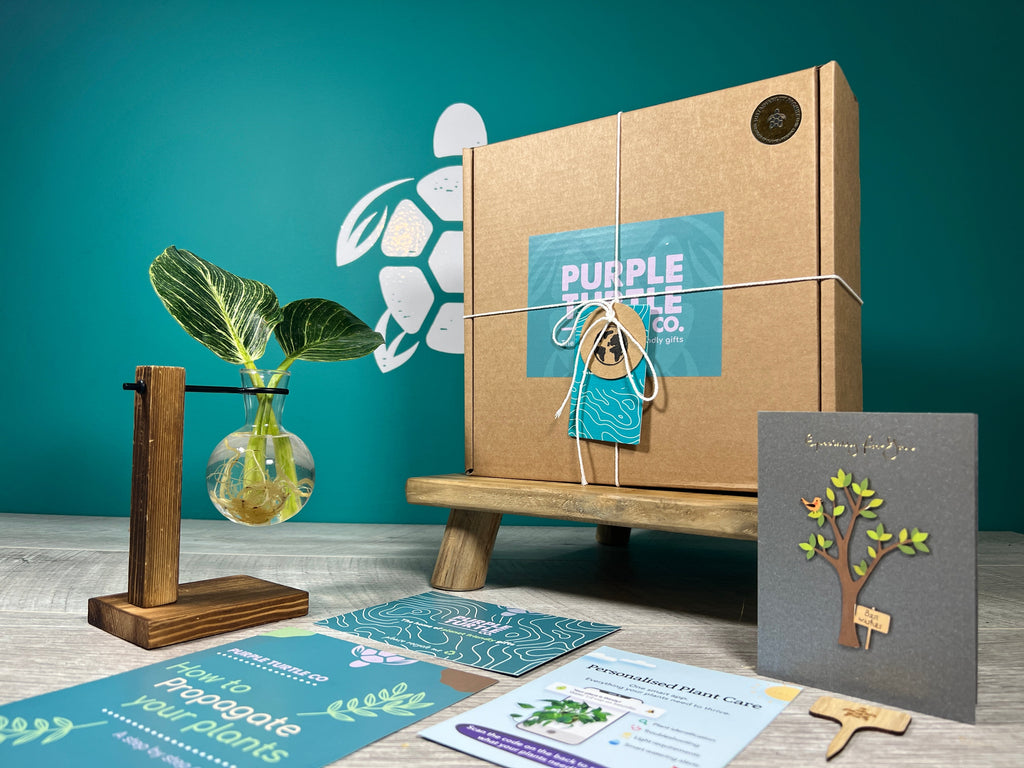 Plant Propagation Gift Set for Home Gardeners