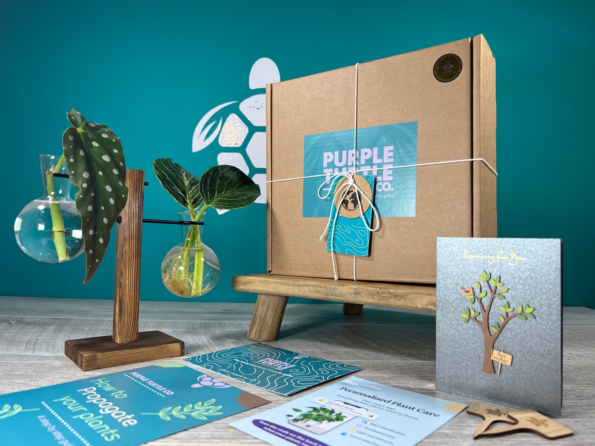 Plant Propagation Gift Set for Home Gardeners