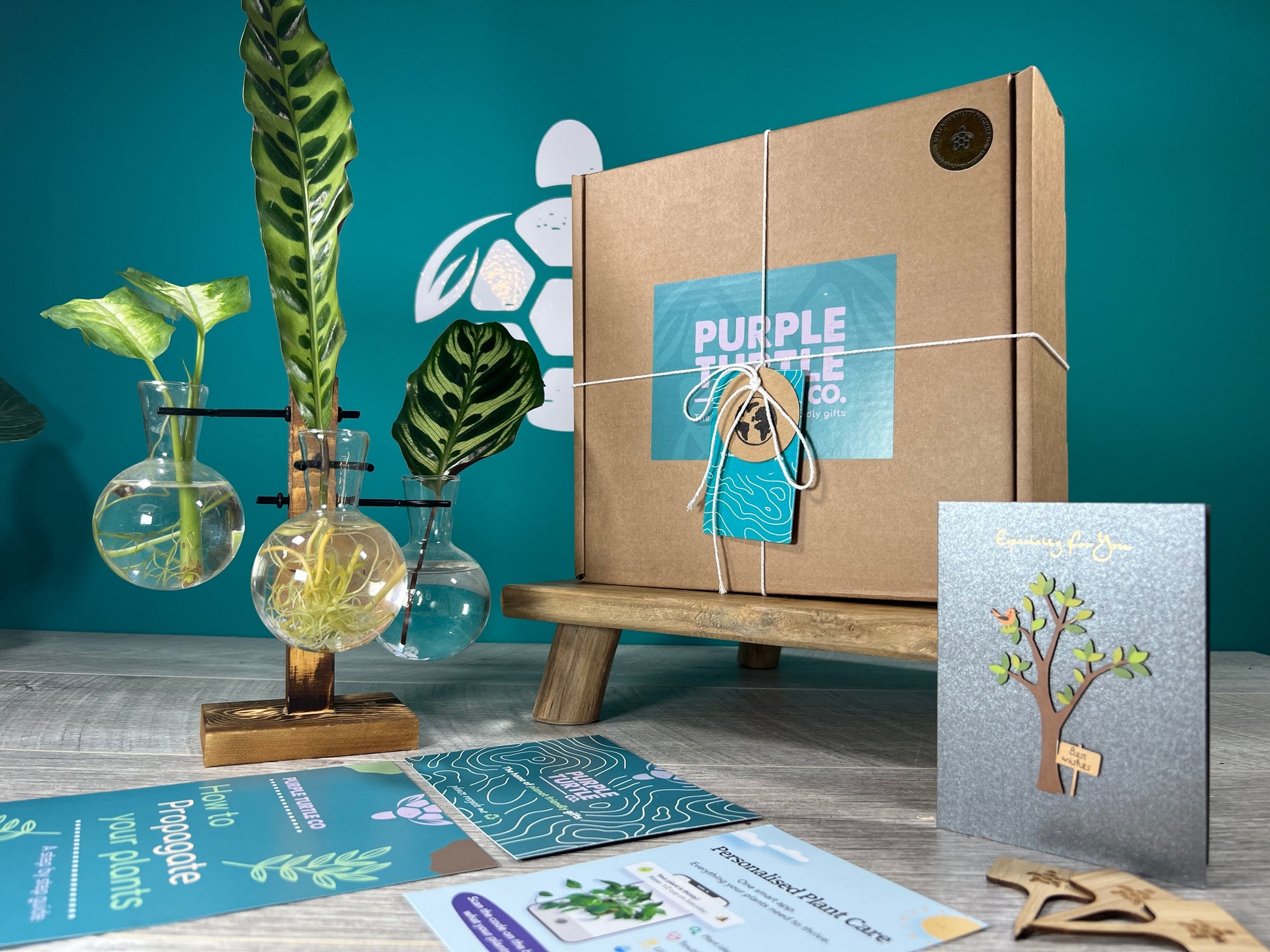 Plant Propagation Gift Set for Home Gardeners