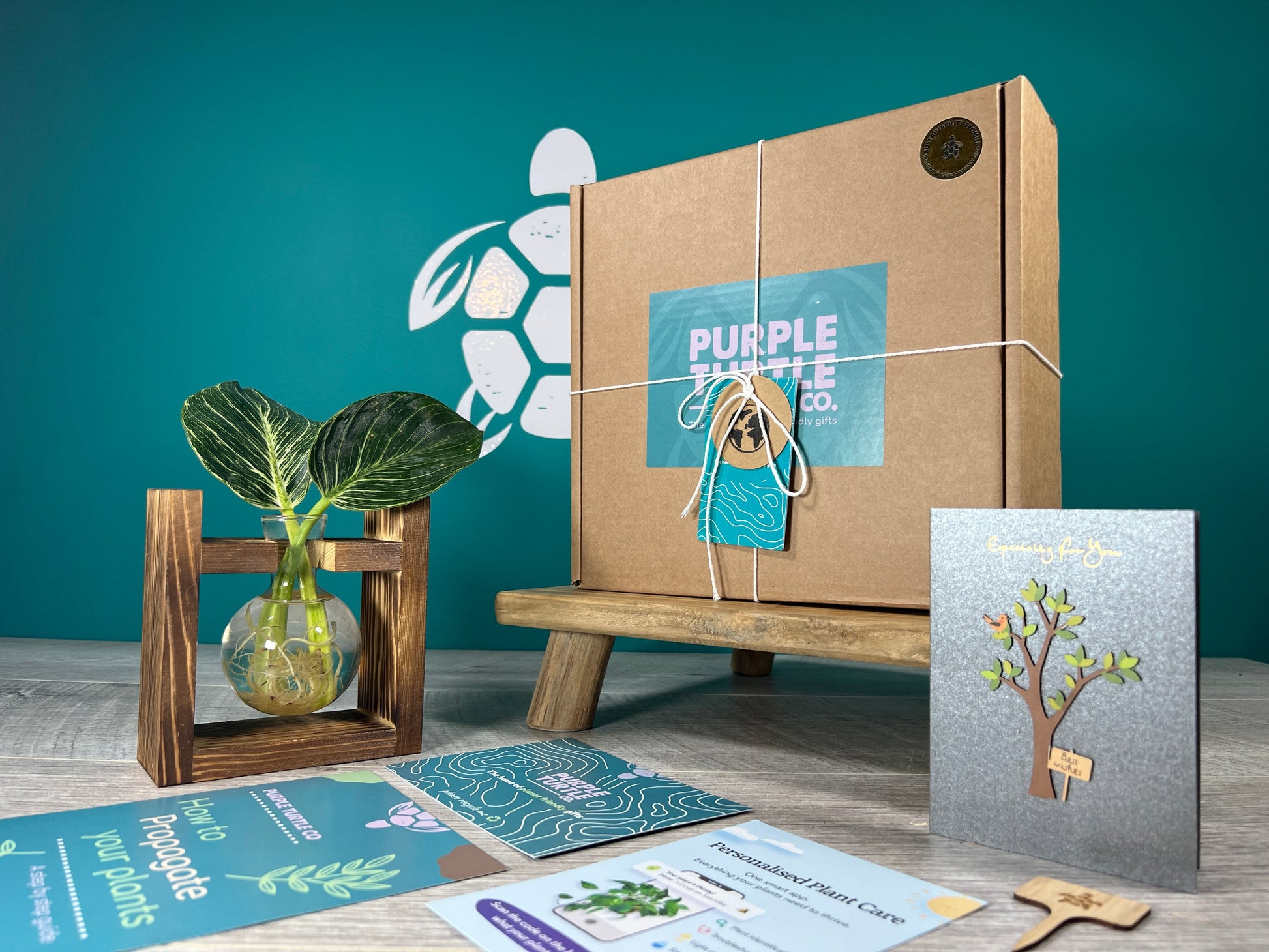 Plant Propagation Gift Set for Indoor Gardeners