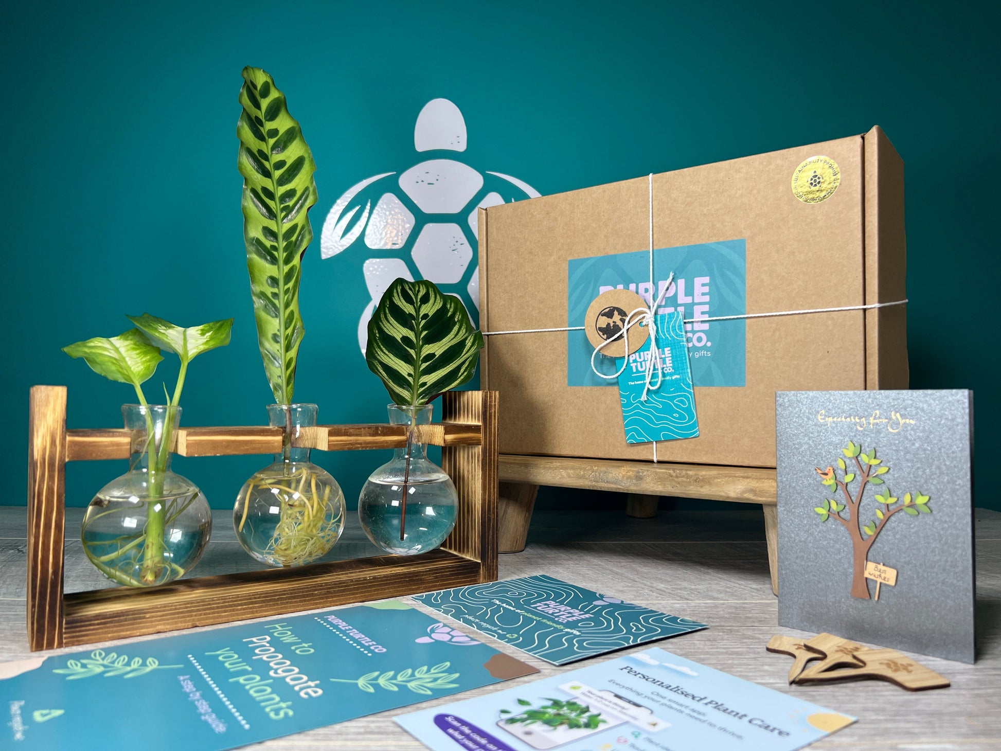 Plant Propagation Gift Set for Indoor Gardeners