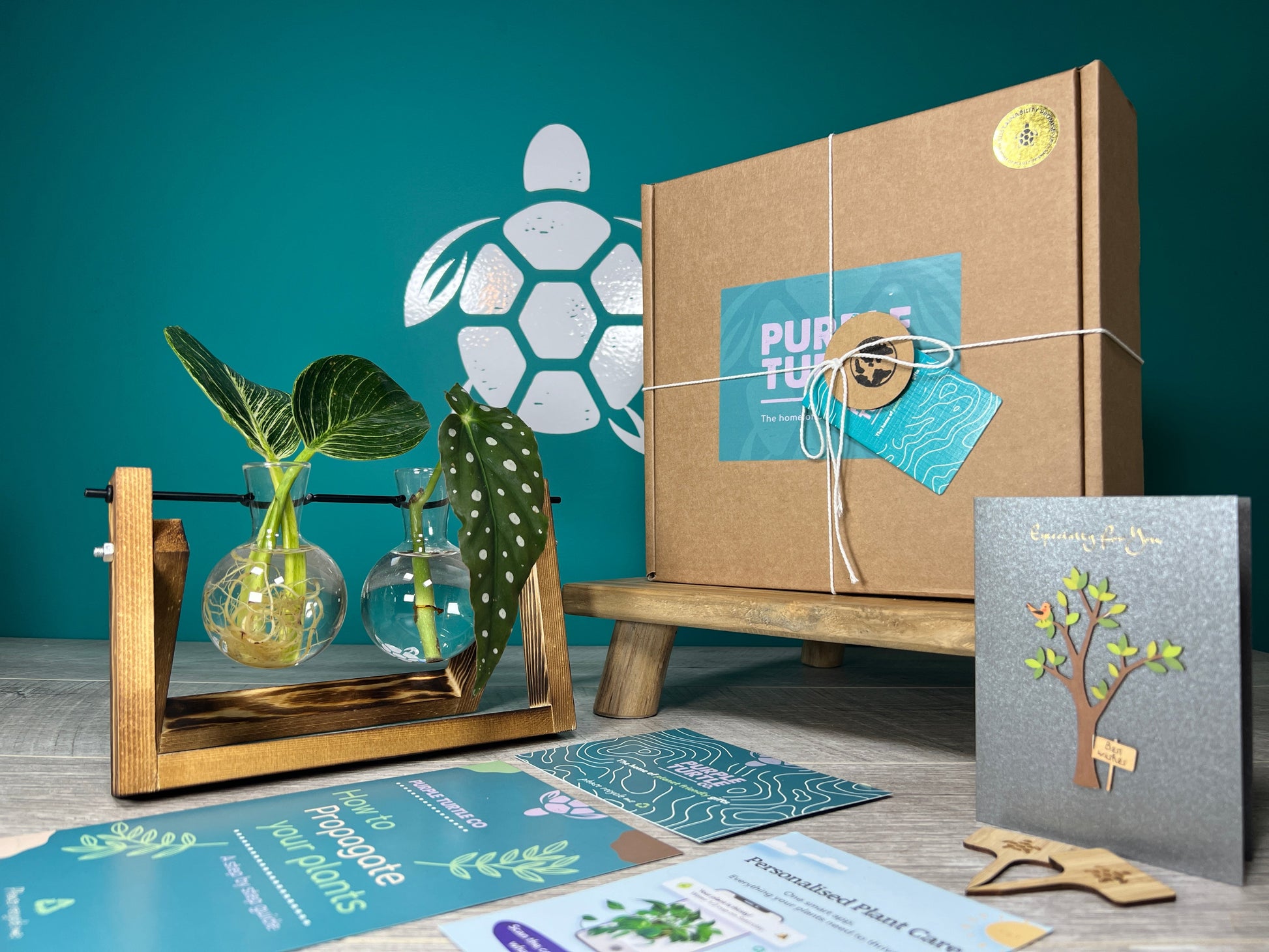 Plant Propagation Gift Set for Home Growing