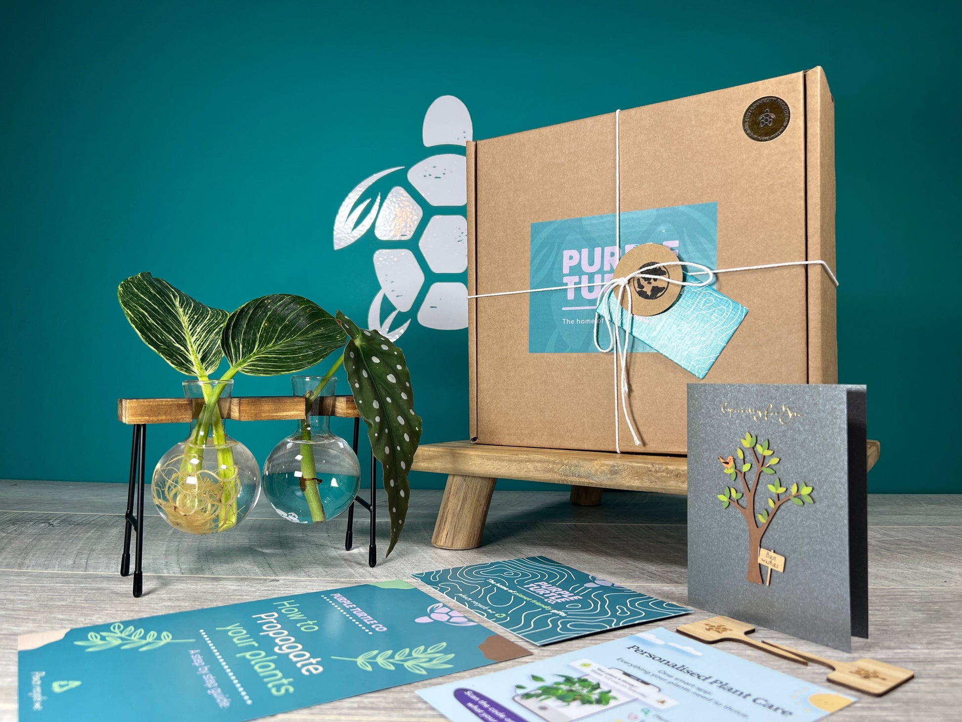 Plant Propagation Gift Set for Growing Cuttings at Home