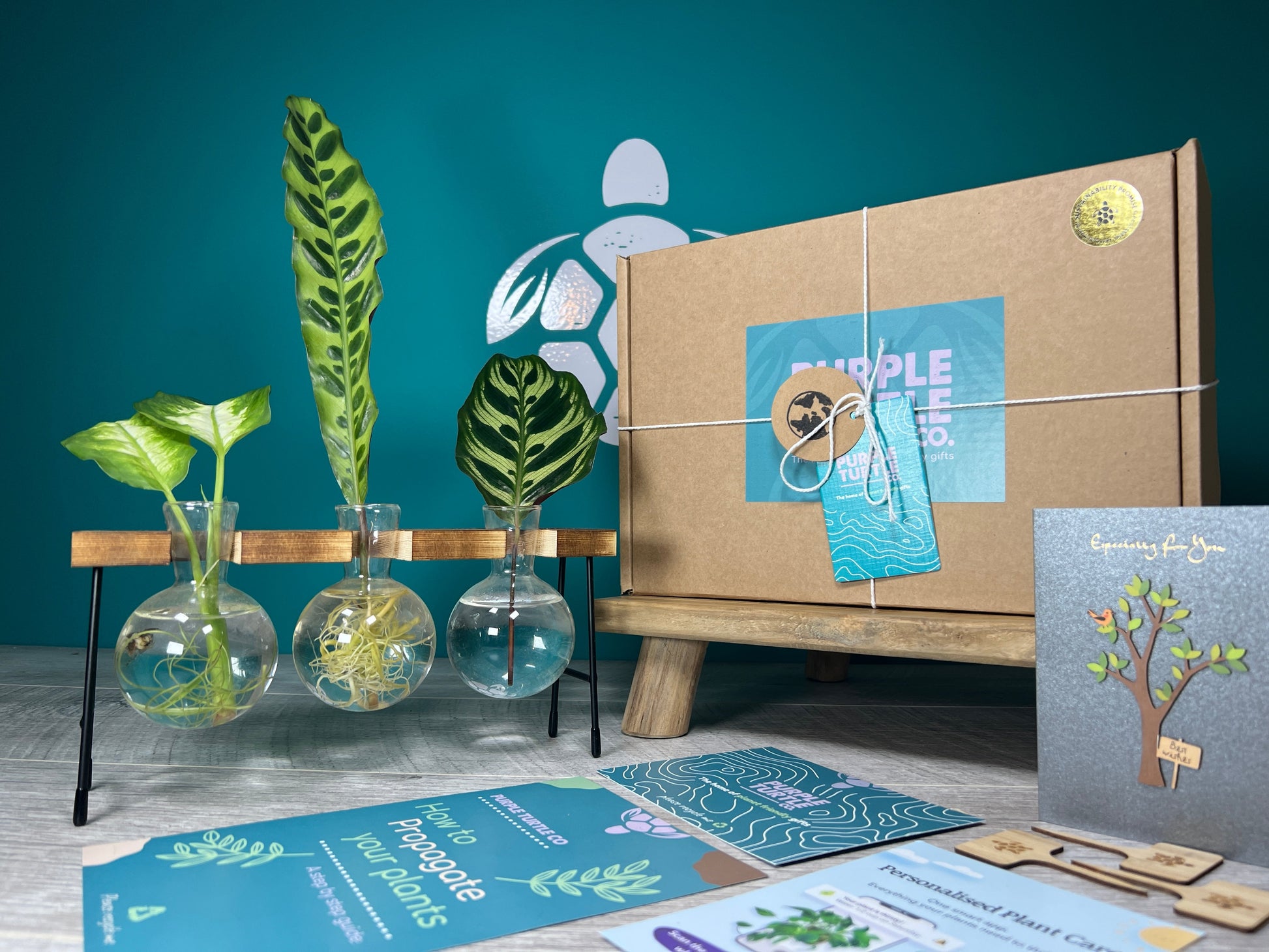 Plant Propagation Gift Set for Growing Cuttings at Home